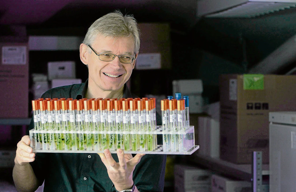 Medizin-Nobelpreis für Berliner Professor Peter Hegemann: Wie eine Grünalge die Hirnforschung veränderte