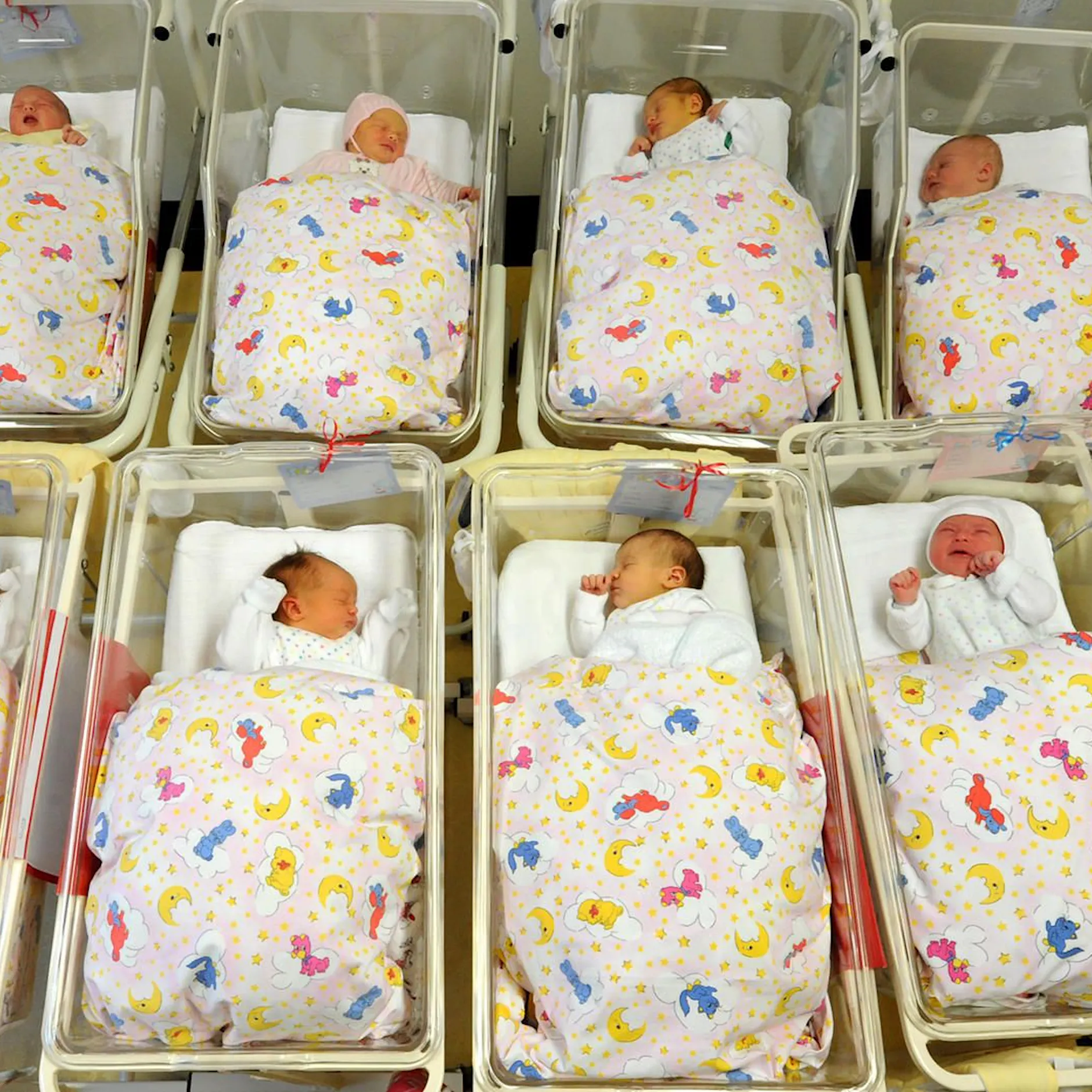 In diesen Berliner Bezirken gibt es immer weniger Babys