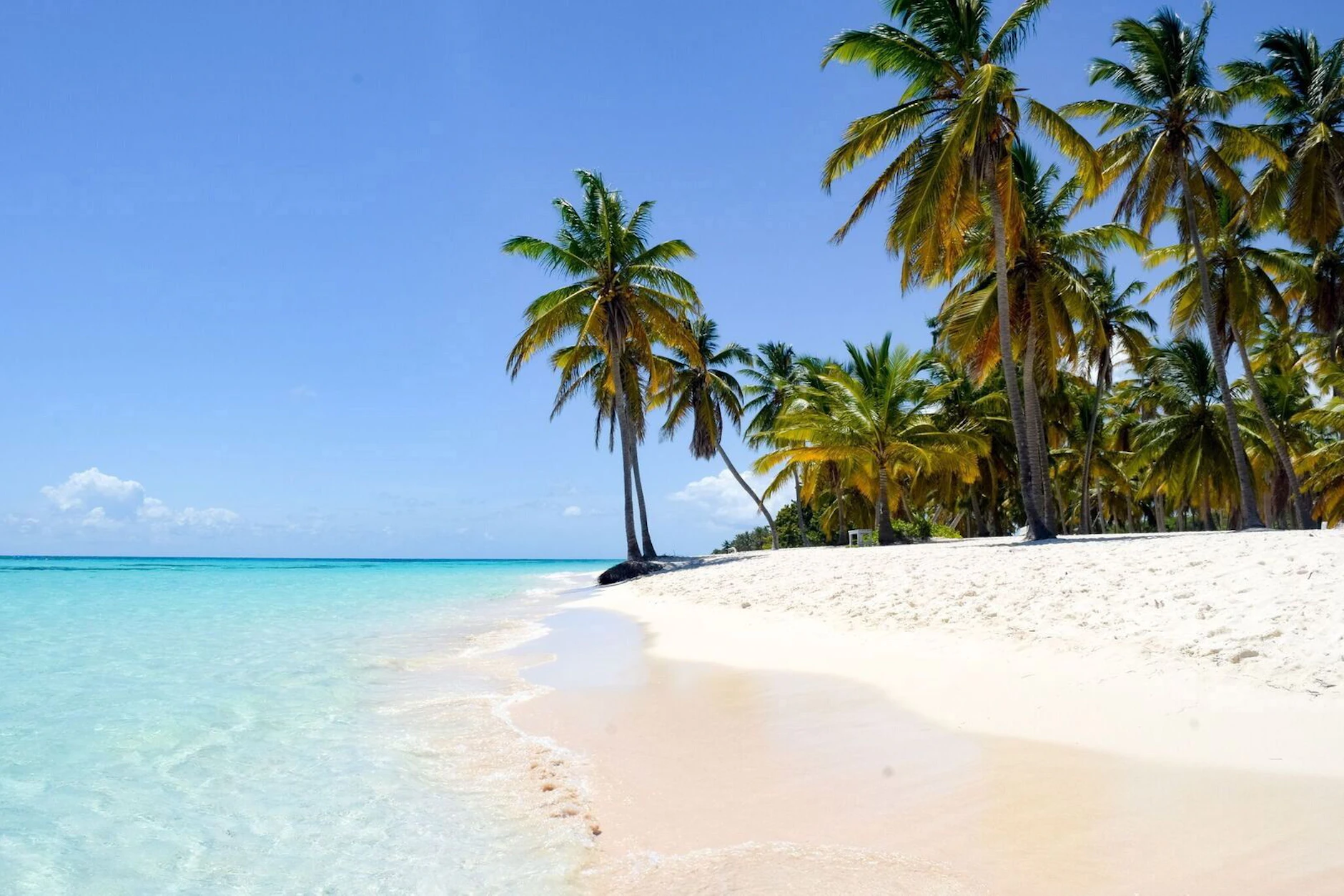 Echte Karibik! Die Canto de la Playa in der Dominikanischen Republik .