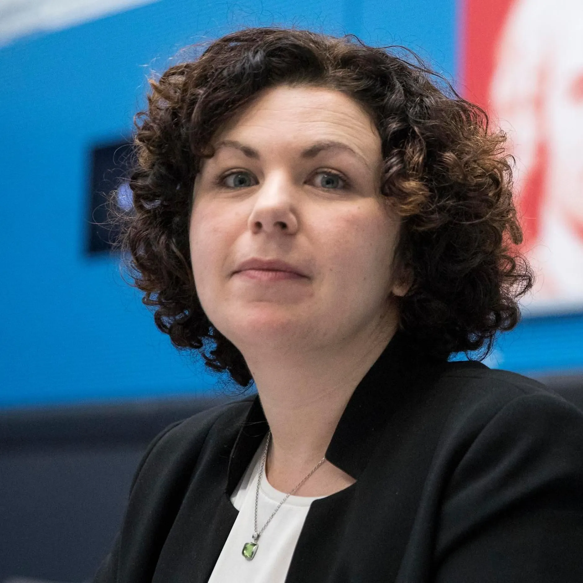 Image - Wahlprüfung in Karlsruhe: BSW-Chefin Mohamed Ali befürchtet Kontrolllücken