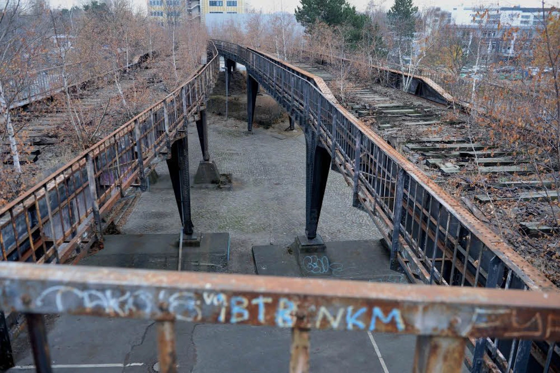Auf 800 Metern verläuft die Siemensbahn auf einem genieteten Stahlviadukt.