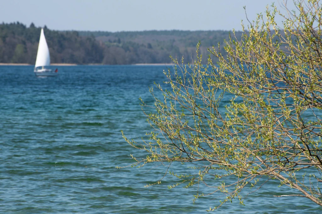 Der Werbelliner See