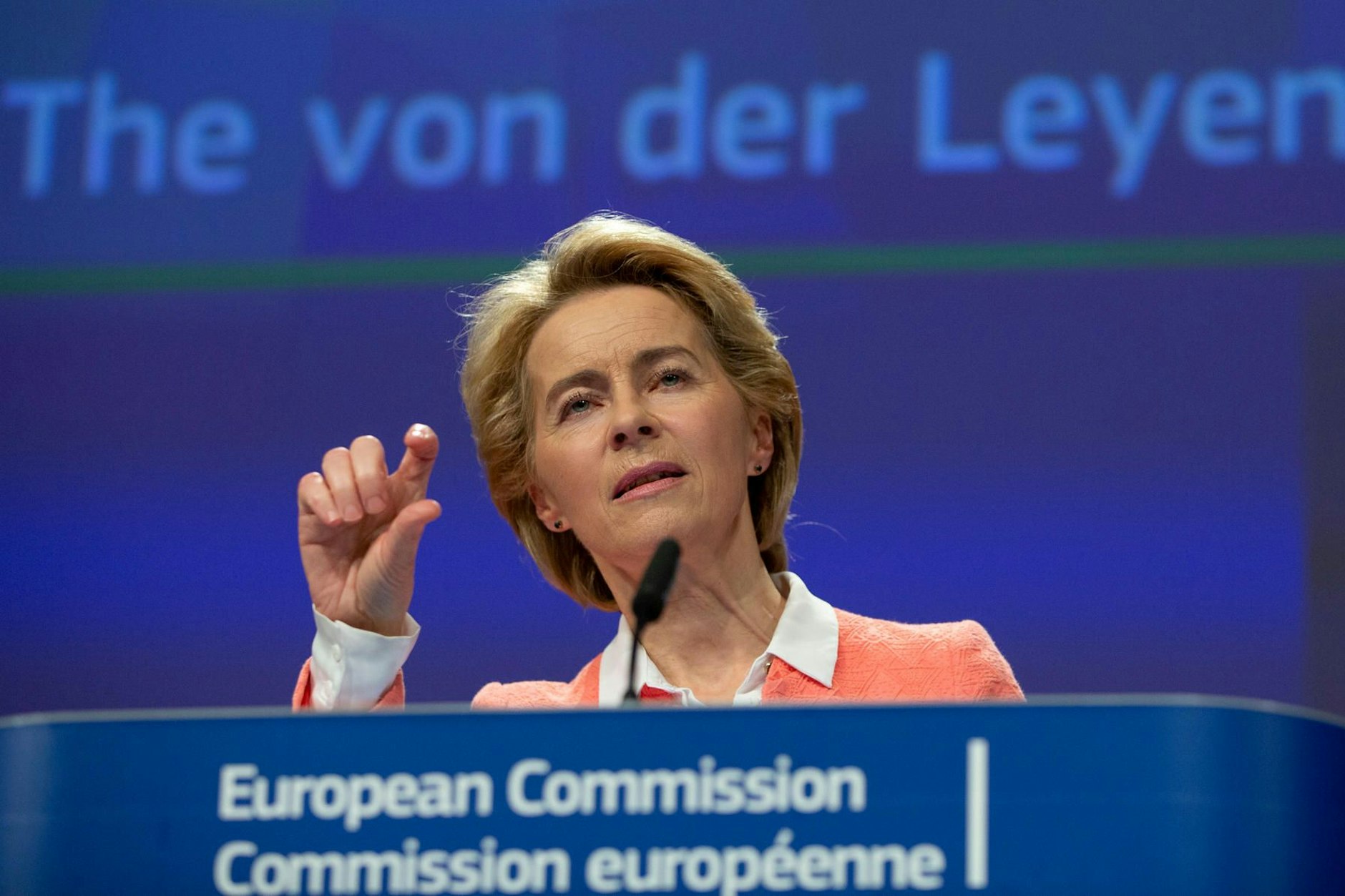 Von der Leyen hat so wenig Legitimation, meint Musk