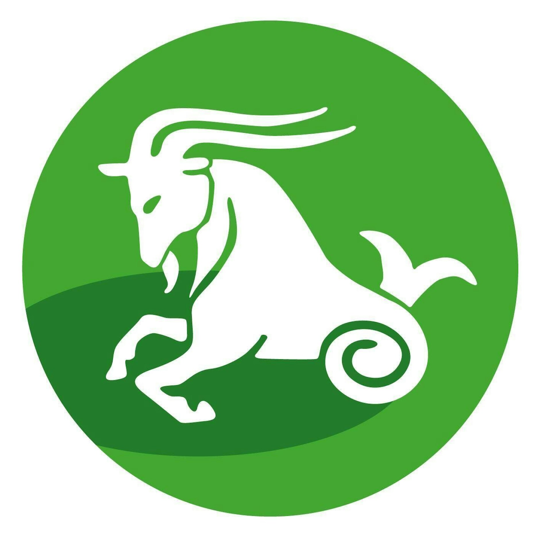 <strong>Sternzeichen <strong>Steinbock (22.12.–20.1.)</strong></strong>