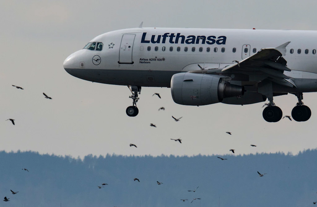 Lufthansa-Streik am Freitag: Auswirkungen auf Flüge am BER und anderen Flughäfen
