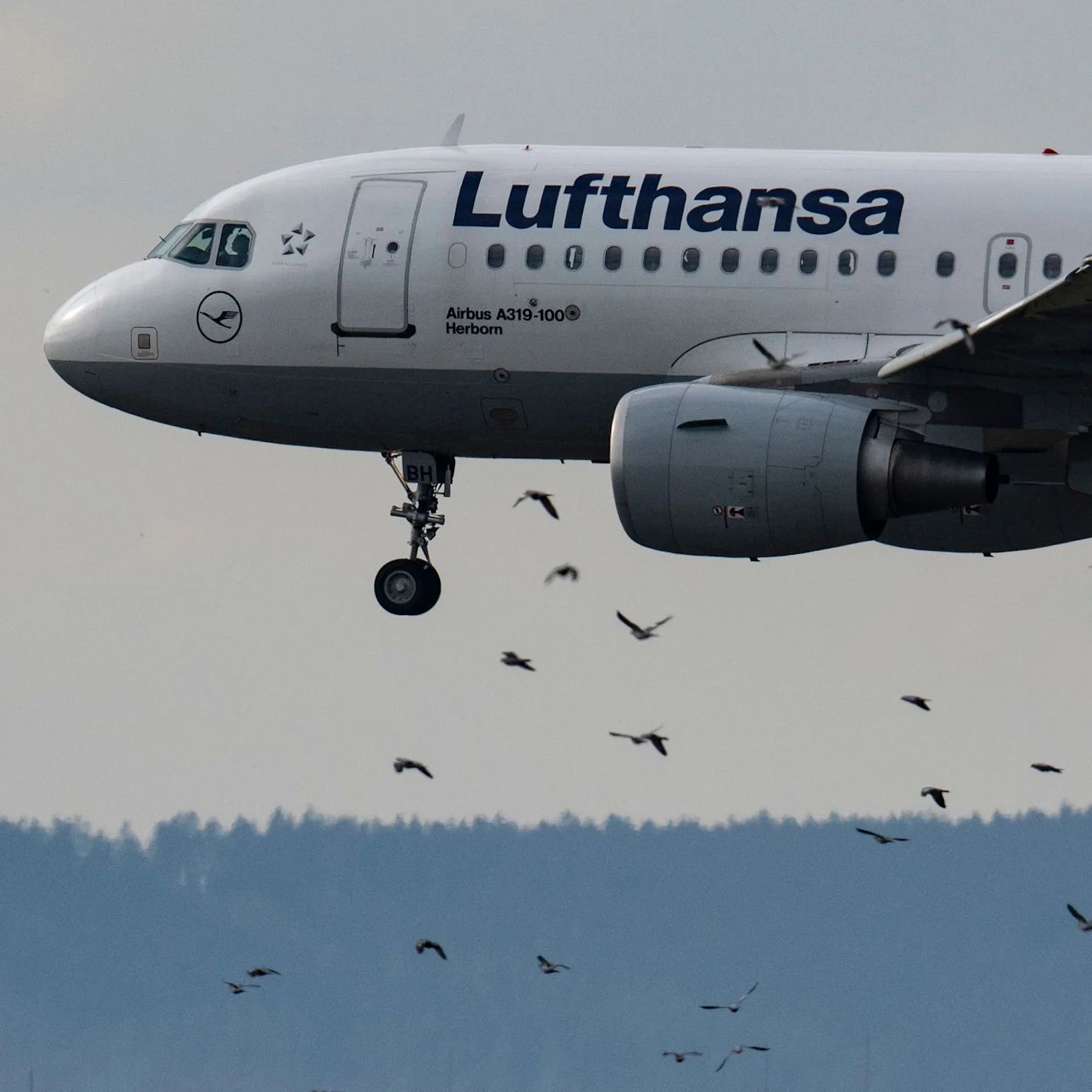 Lufthansa-Streik zum Ferienende: Zahlreiche Flüge bundesweit in Gefahr