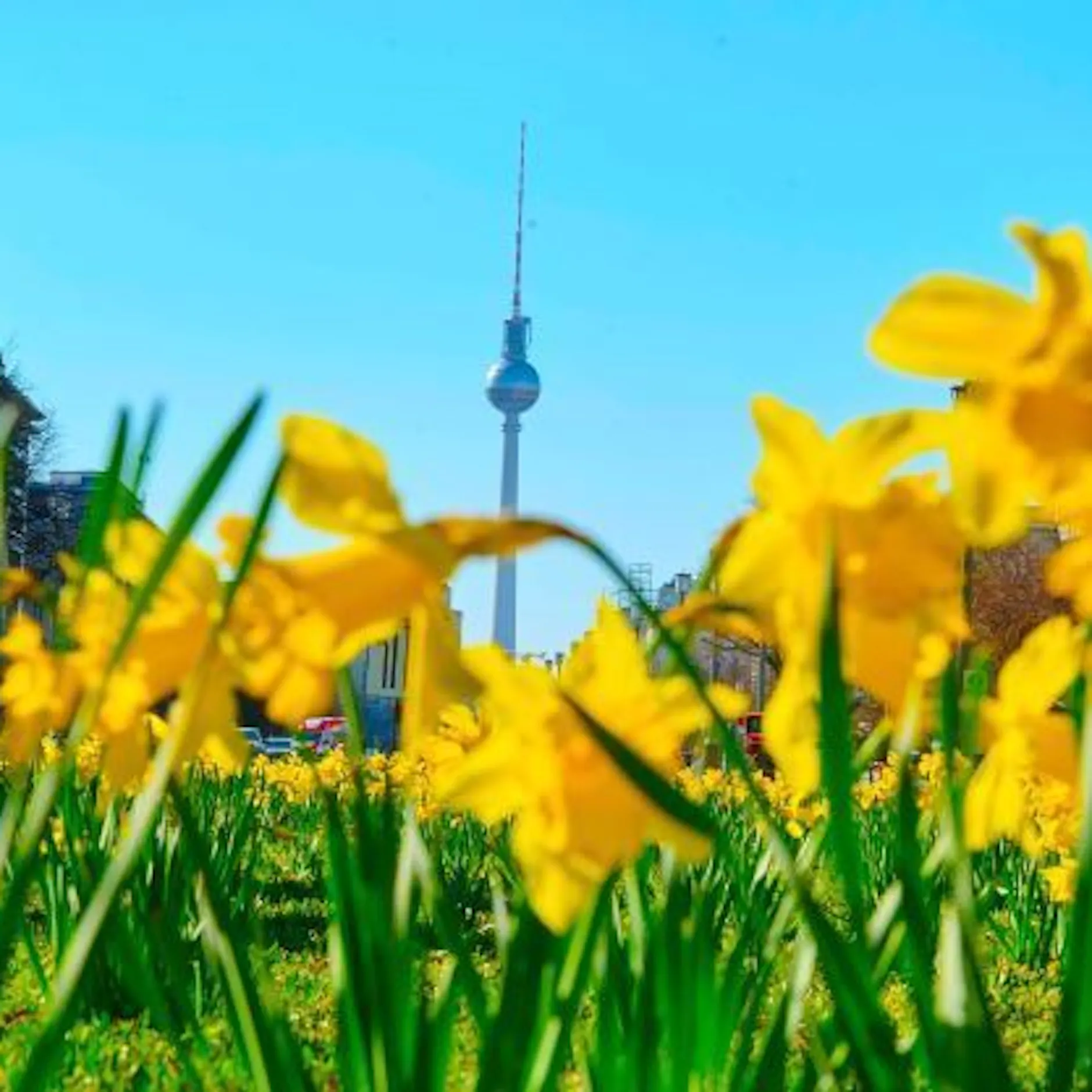 Image - Veranstaltungen in Berlin heute & am Wochenende