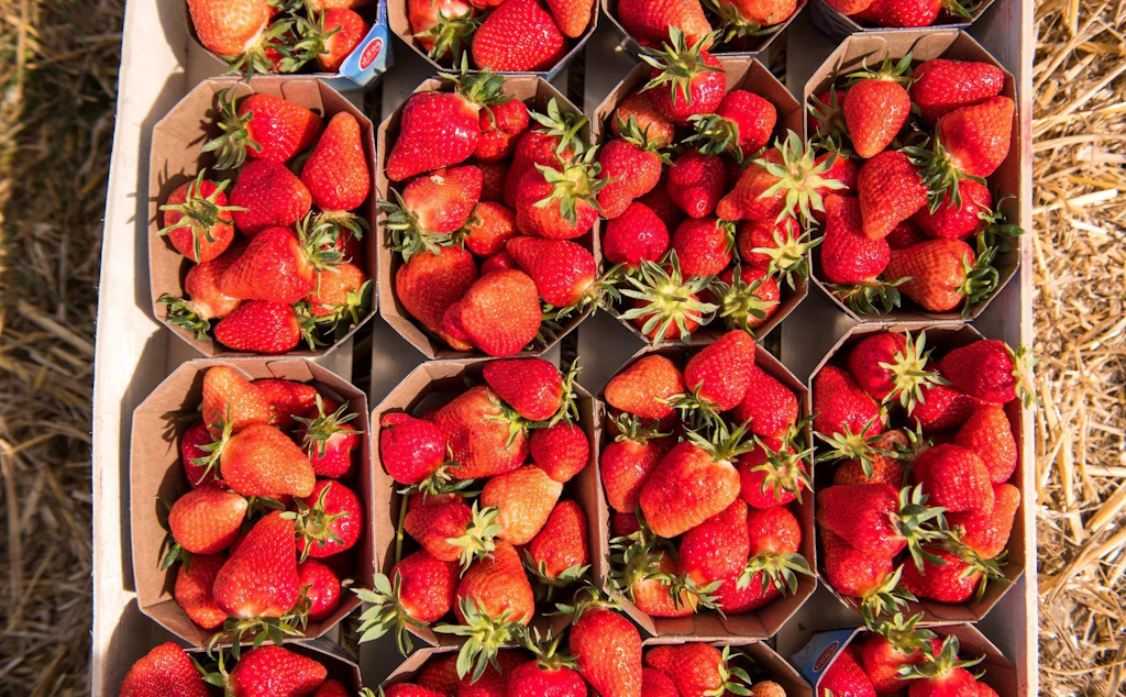 Warum Sie jetzt noch keine Erdbeeren kaufen sollten