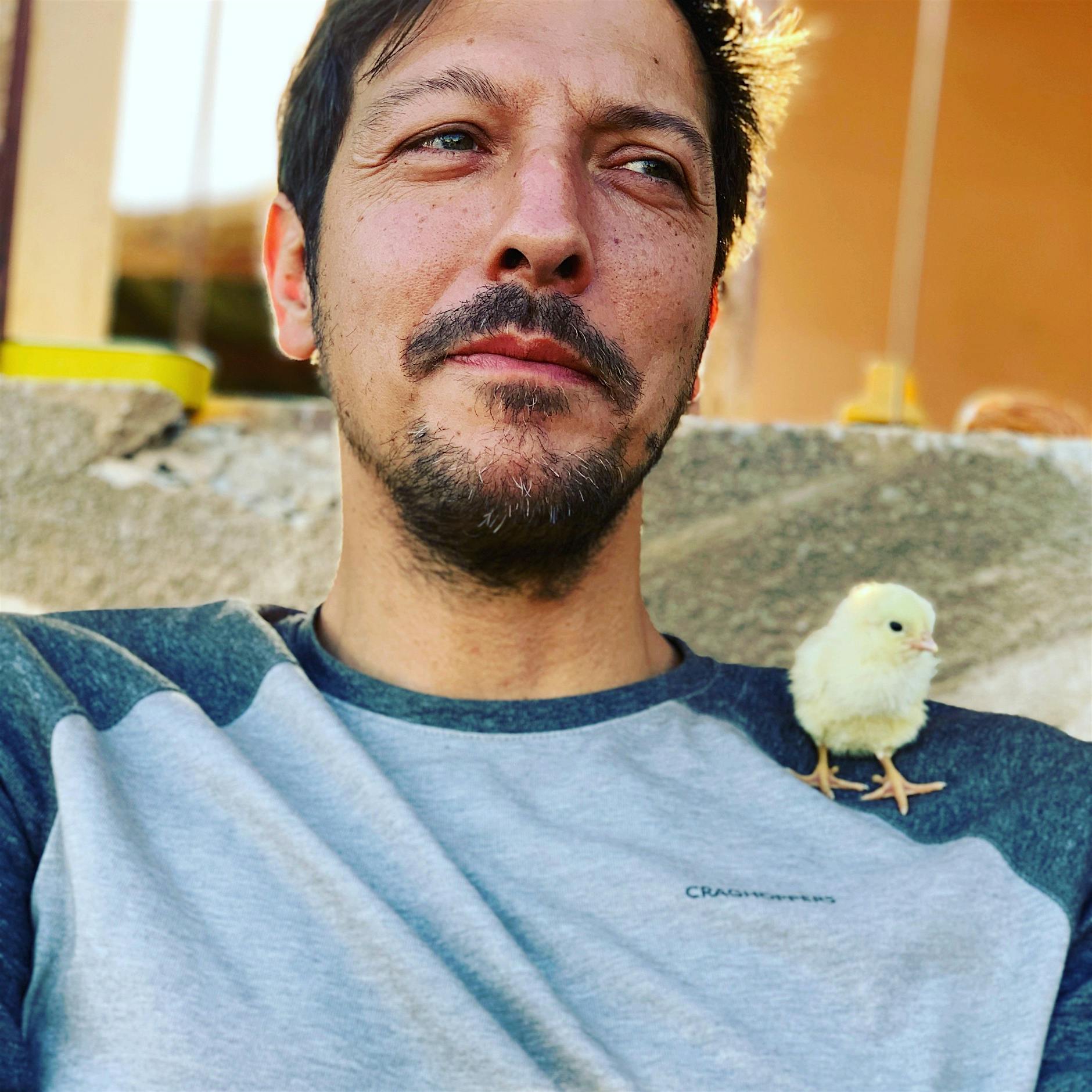 Author - Thilo Mischke