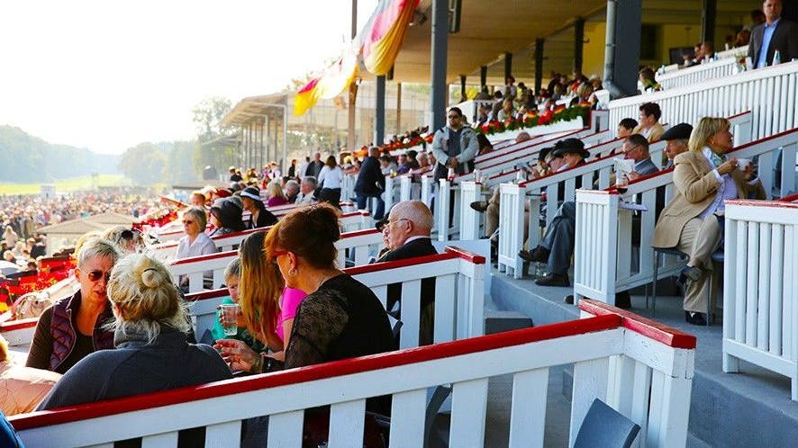 Logen mit 2-4 Pätzen