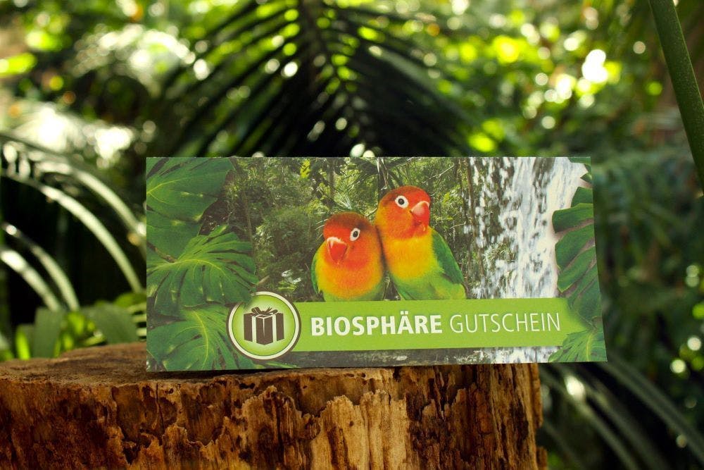 Verschenken Sie einen unvergesslichen Kurzurlaub in den Tropen in Potsdam.