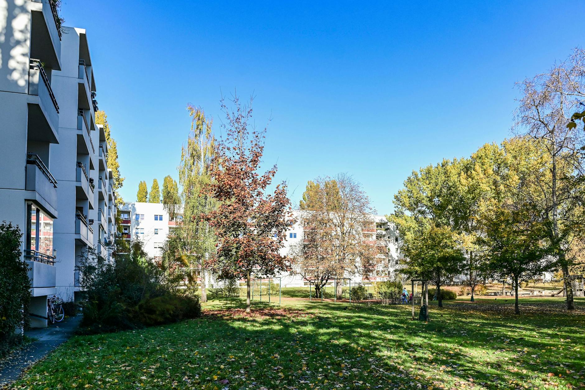 Im Ilse-Kiez bleiben die Bäume vorerst stehen.