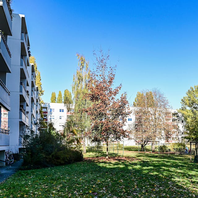 Etappensieg im Ilse-Kiez: Die Kettensägen bleiben stumm