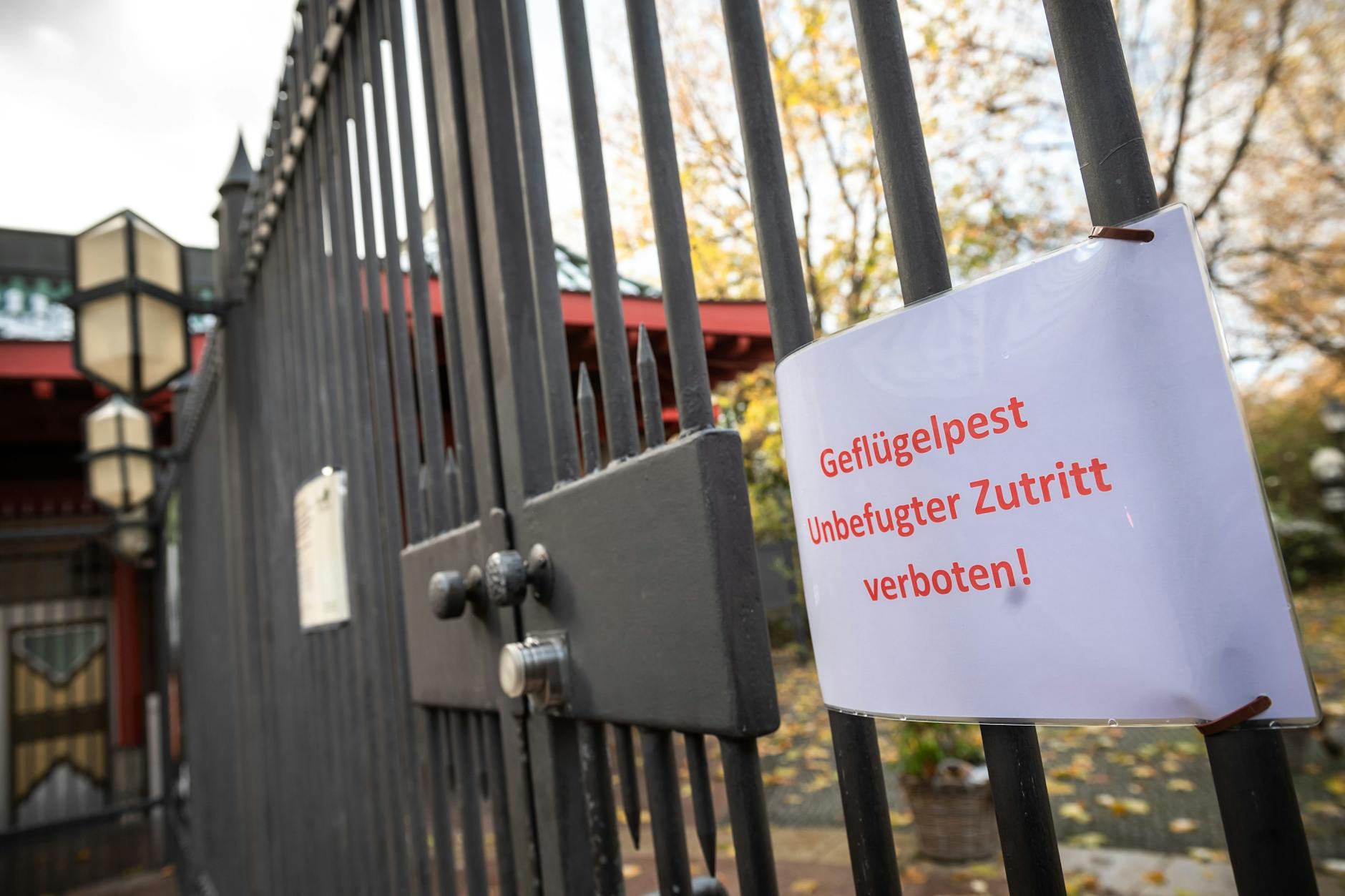 Wgen der Vogelgrippe musste im vergangenen Herbst auch der Berliner Zoo zeitweise schließen.