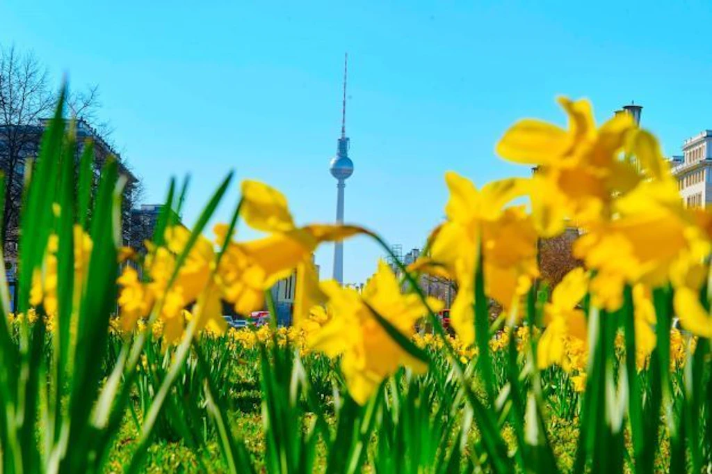 Veranstaltungen in Berlin März 2026 | Tickets