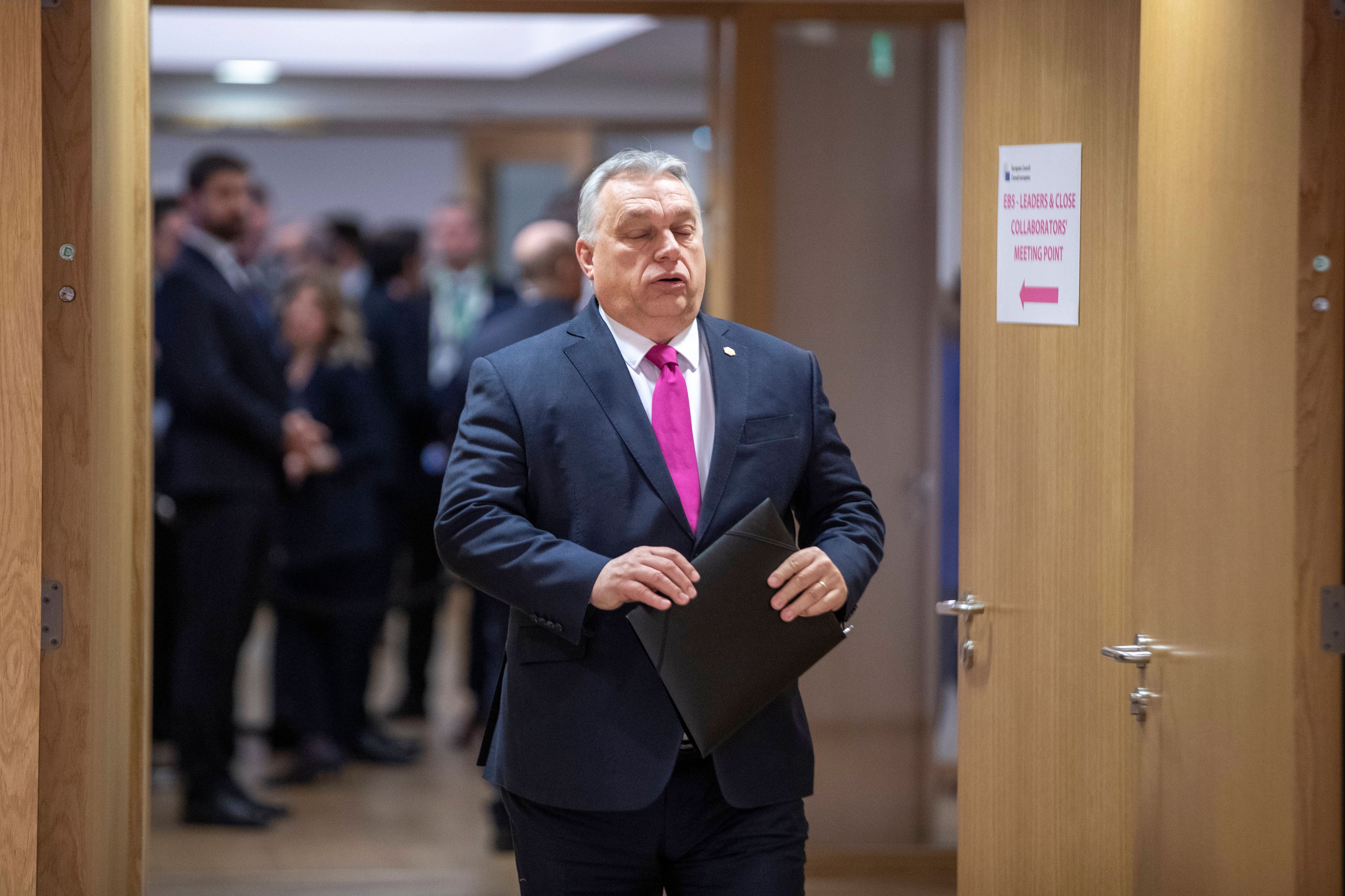 Image - Skurriles „Rap-Battle“ in der EU: Grünen-Politiker schießt gegen Orban und bekommt eine Lobeshymne zurück