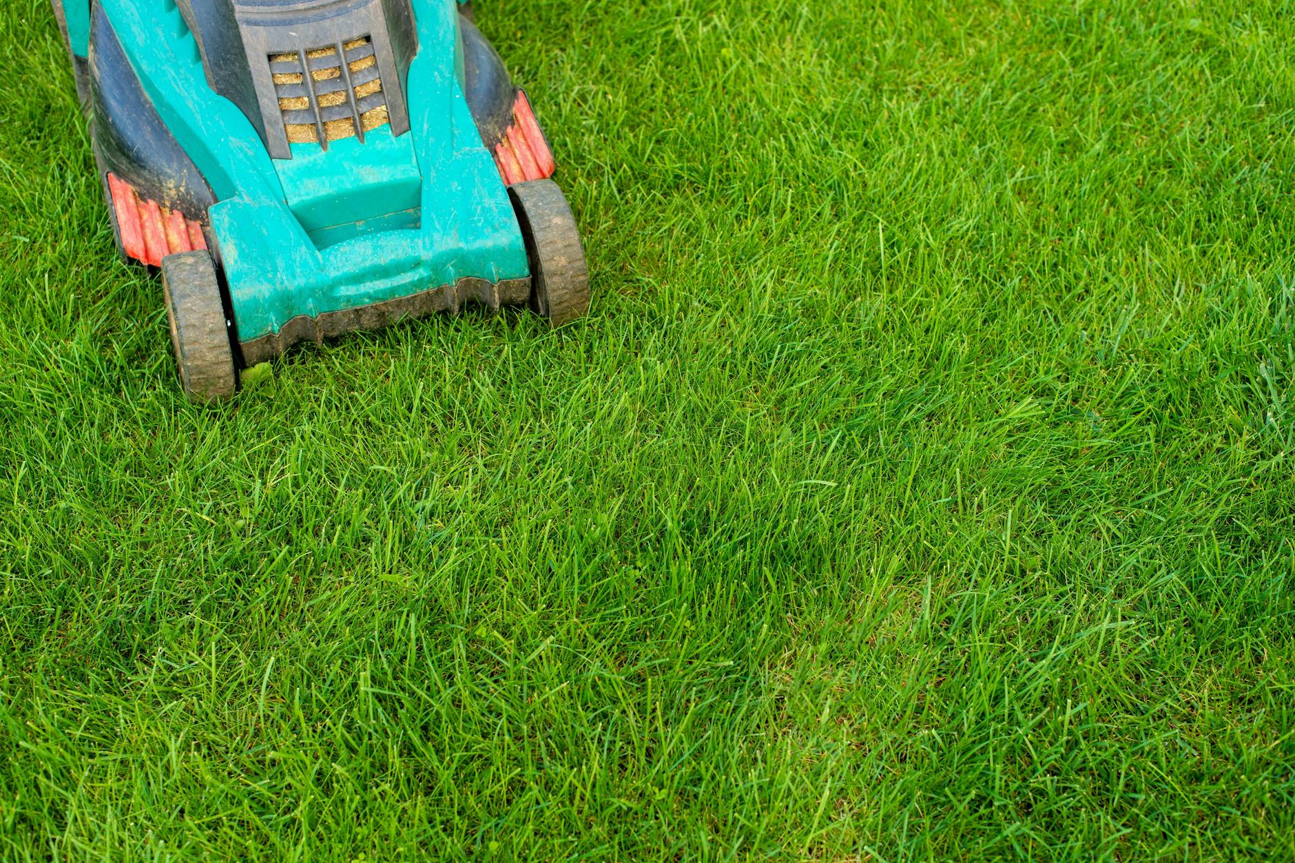 Der Rasen wächst im März langsam wieder – mit dem ersten Mähen sollte man trotzdem noch etwas warten.