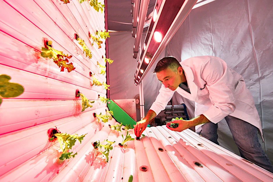 Biotechniker des Fraunhofer-Instituts beim Salatpflanzen: Hightech-Defizit in Deutschland