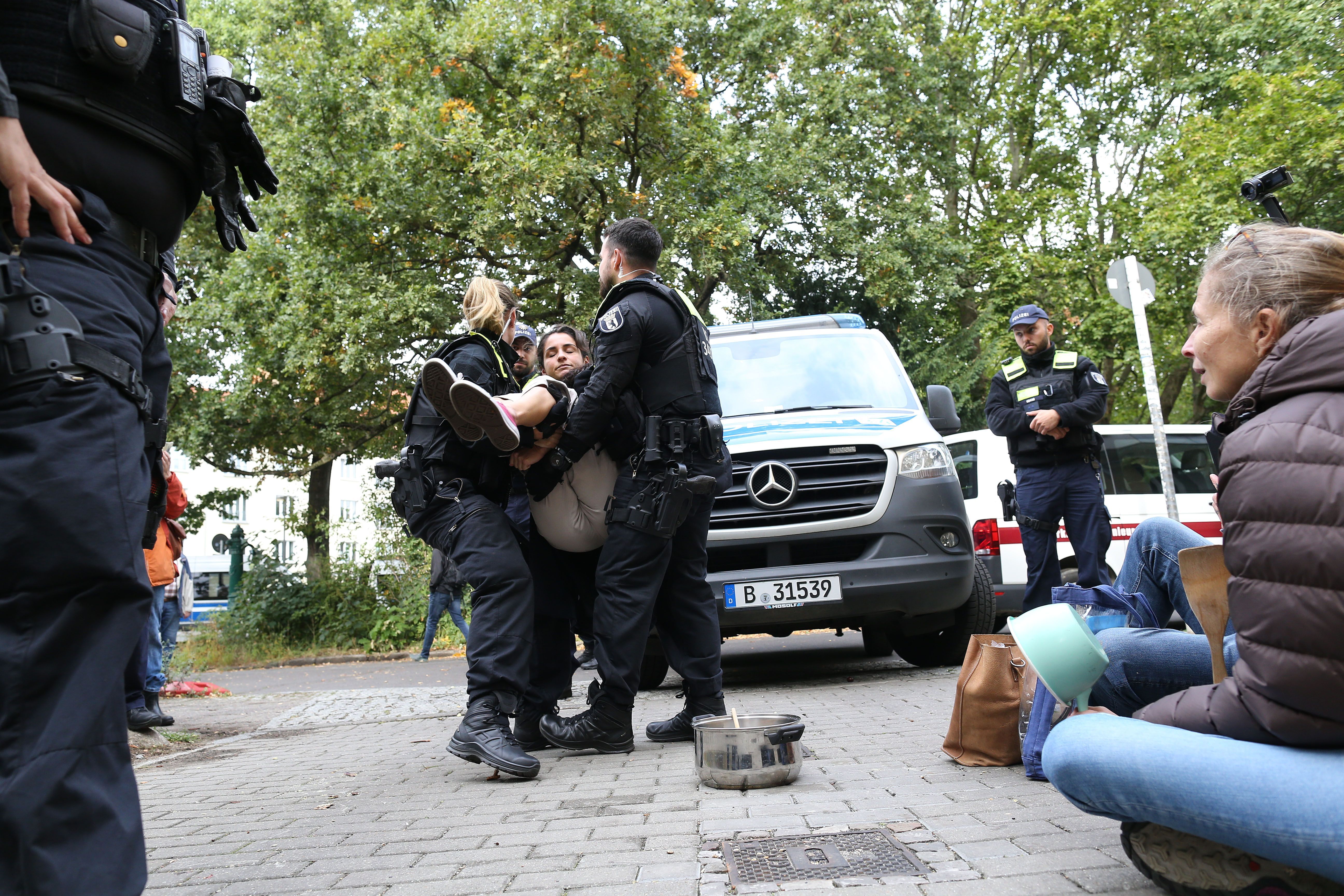 „Wildwest-Methoden“ Gesobau will sofort in Pankows Innenhöfen roden