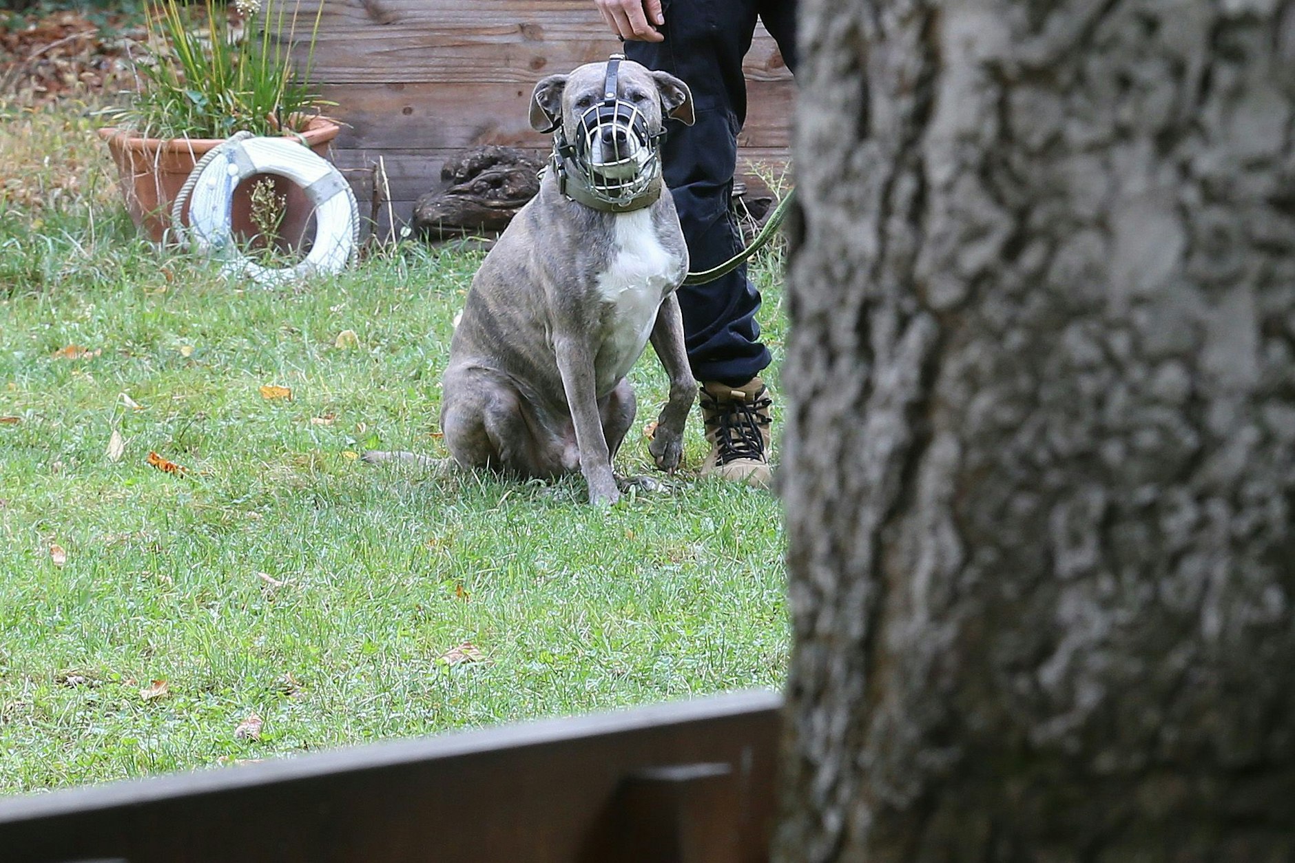 Zeitweise wurde das Baufeld in den Pankower Höfen sogar mit Kampfhunden bewacht. Die Fronten zwischen Gesobau und Anwohnern sind verhärtet.