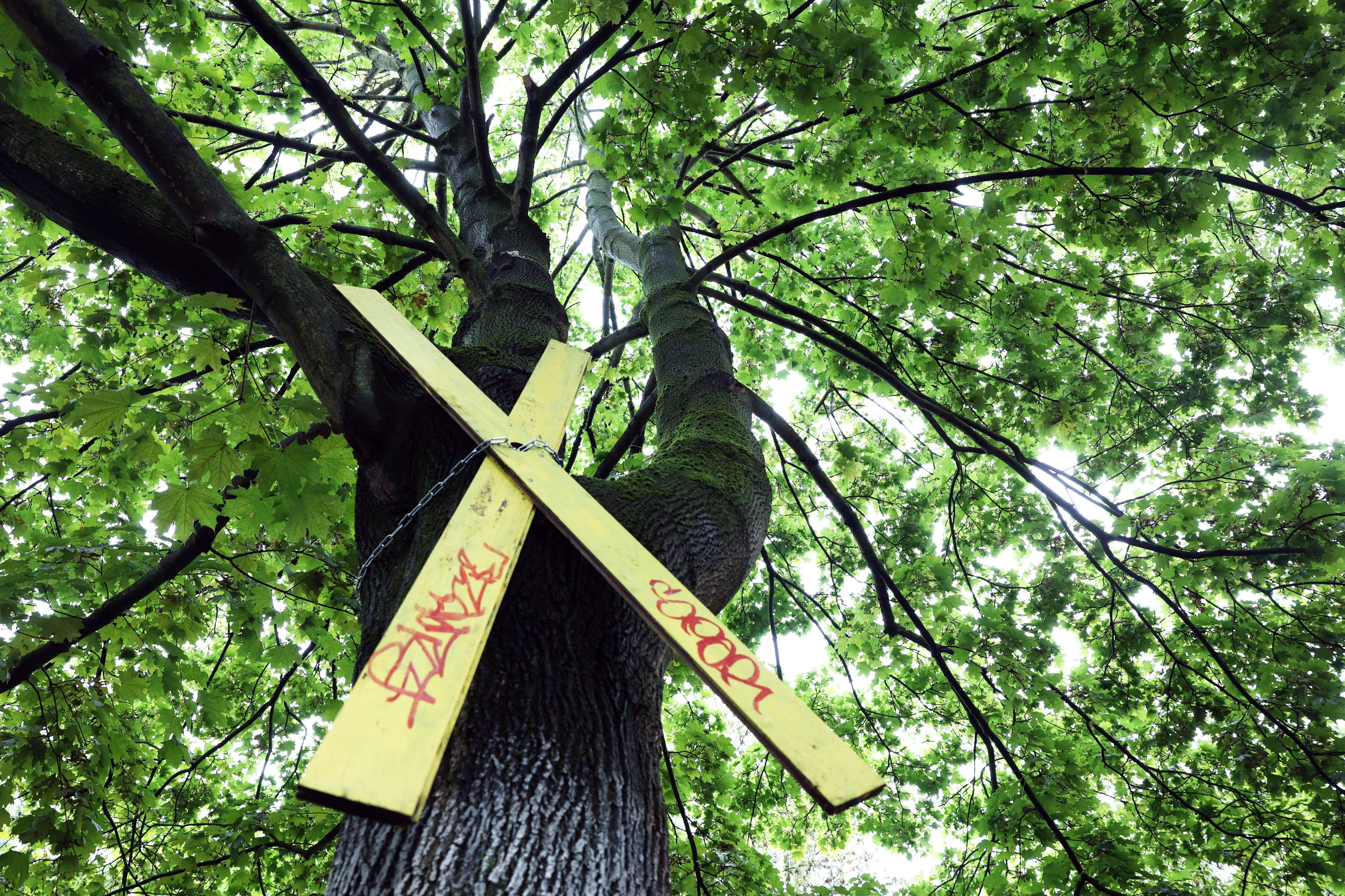 Image - Baustart für Flüchtlingshäuser in Pankow – aber sind sie noch nötig?