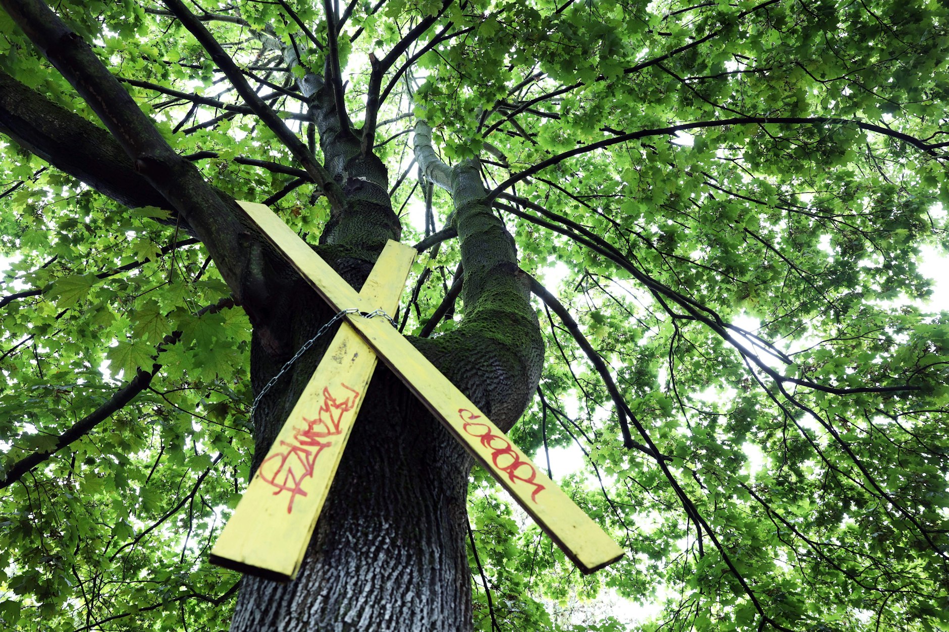 In der Pankower Ossietzkystraße protestieren die Mieter seit langem gegen die Verdichtung des grünen Innenhofs. Spielplatz und Bäume sollen weichen.