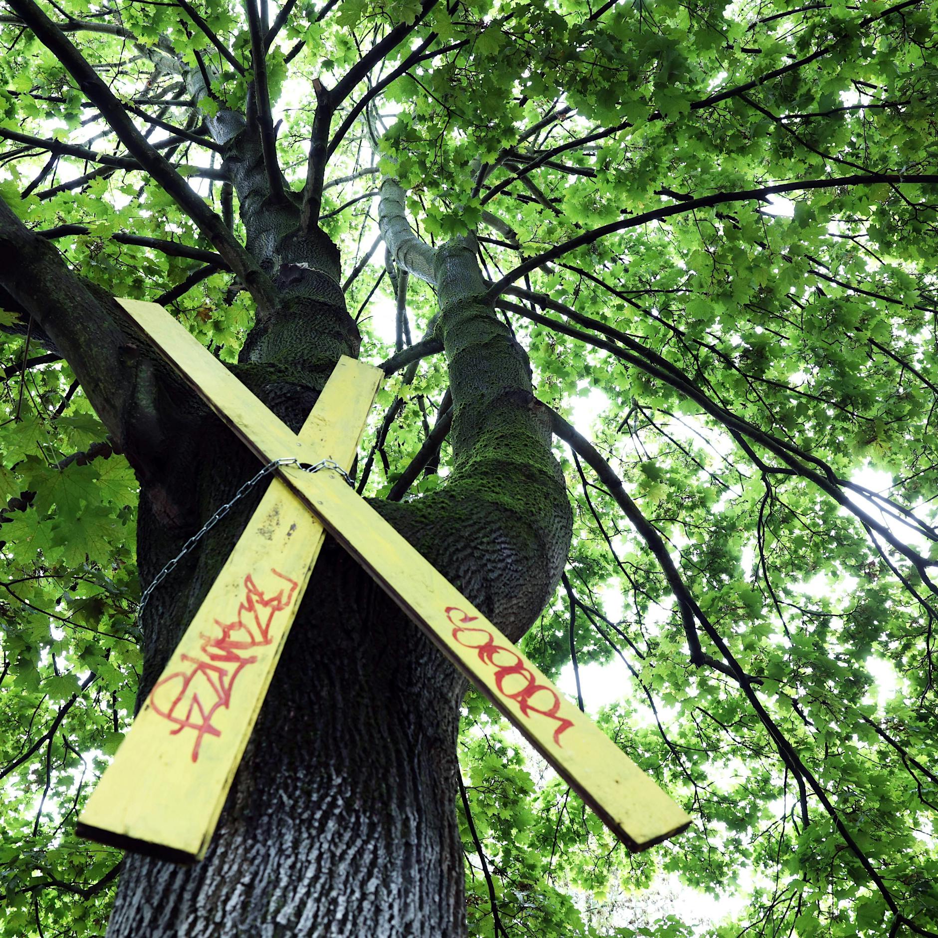 Baustart für Flüchtlingshäuser in Pankow – aber sind sie noch nötig?