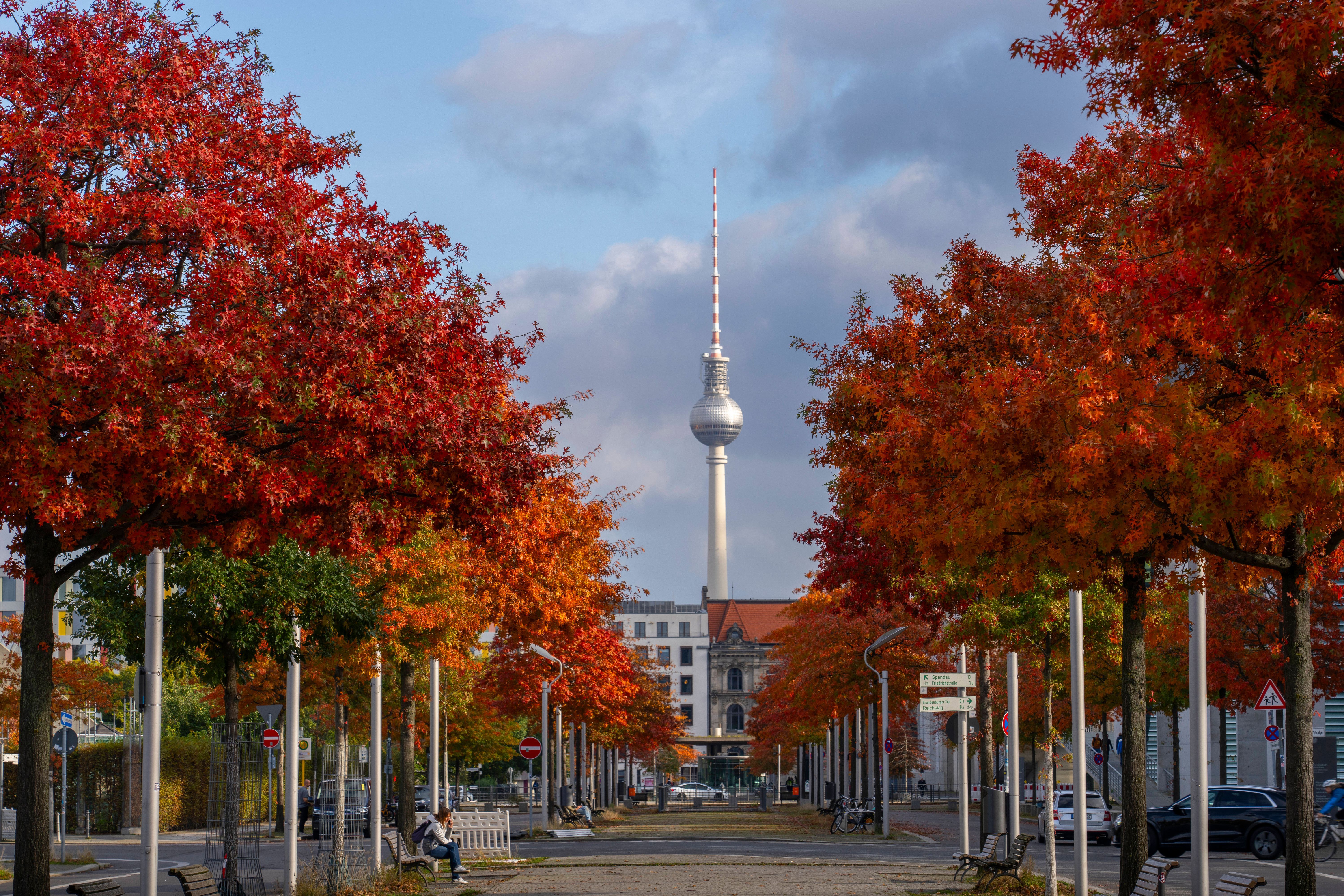 Achtung, es wird kalt! Nieselregen, Nebel und ein erster Hauch von Frost