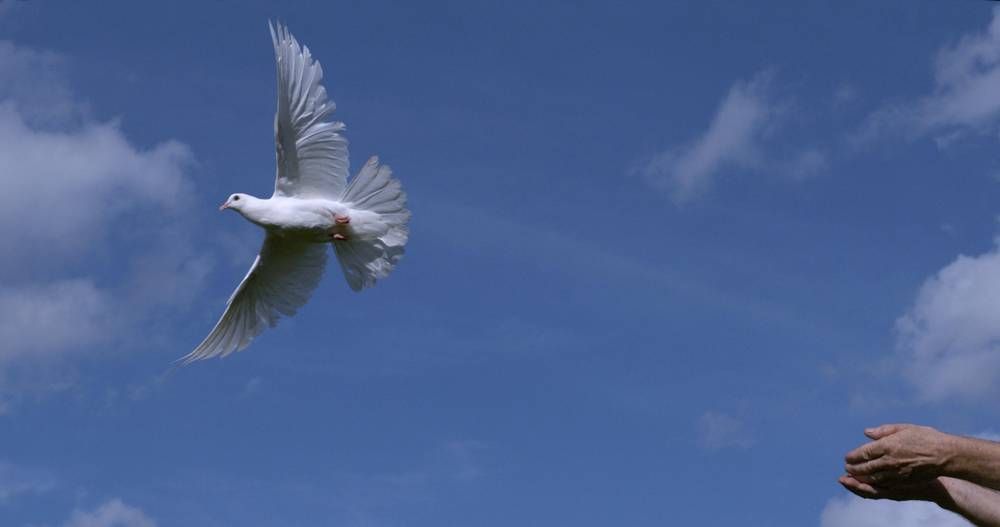 Image - Was der Nahostkonflikt über Wahrheit verrät – und warum Deutschlands Debatte daran scheitert