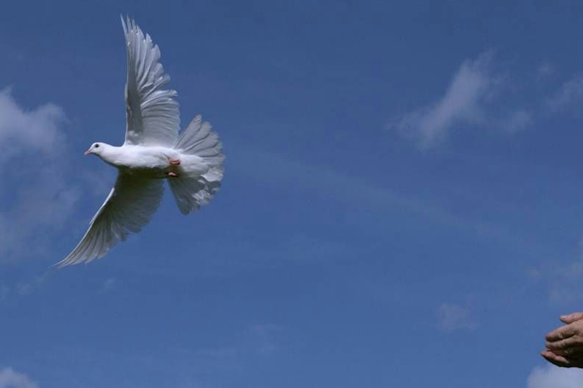 Wo Trauer politisiert wird, wird Frieden unmöglich.