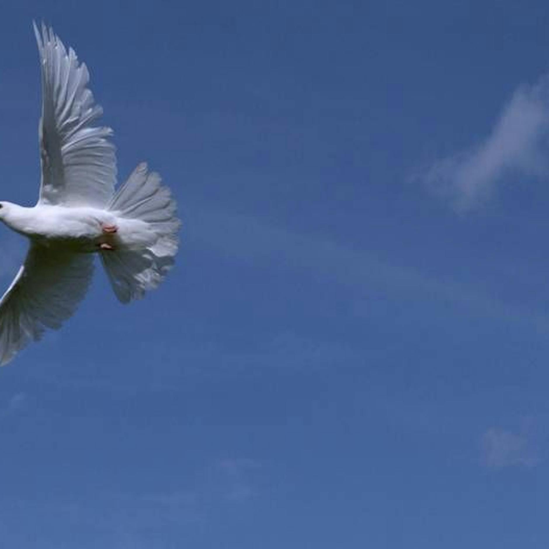 Image - Was der Nahostkonflikt über Wahrheit verrät – und warum Deutschlands Debatte daran scheitert