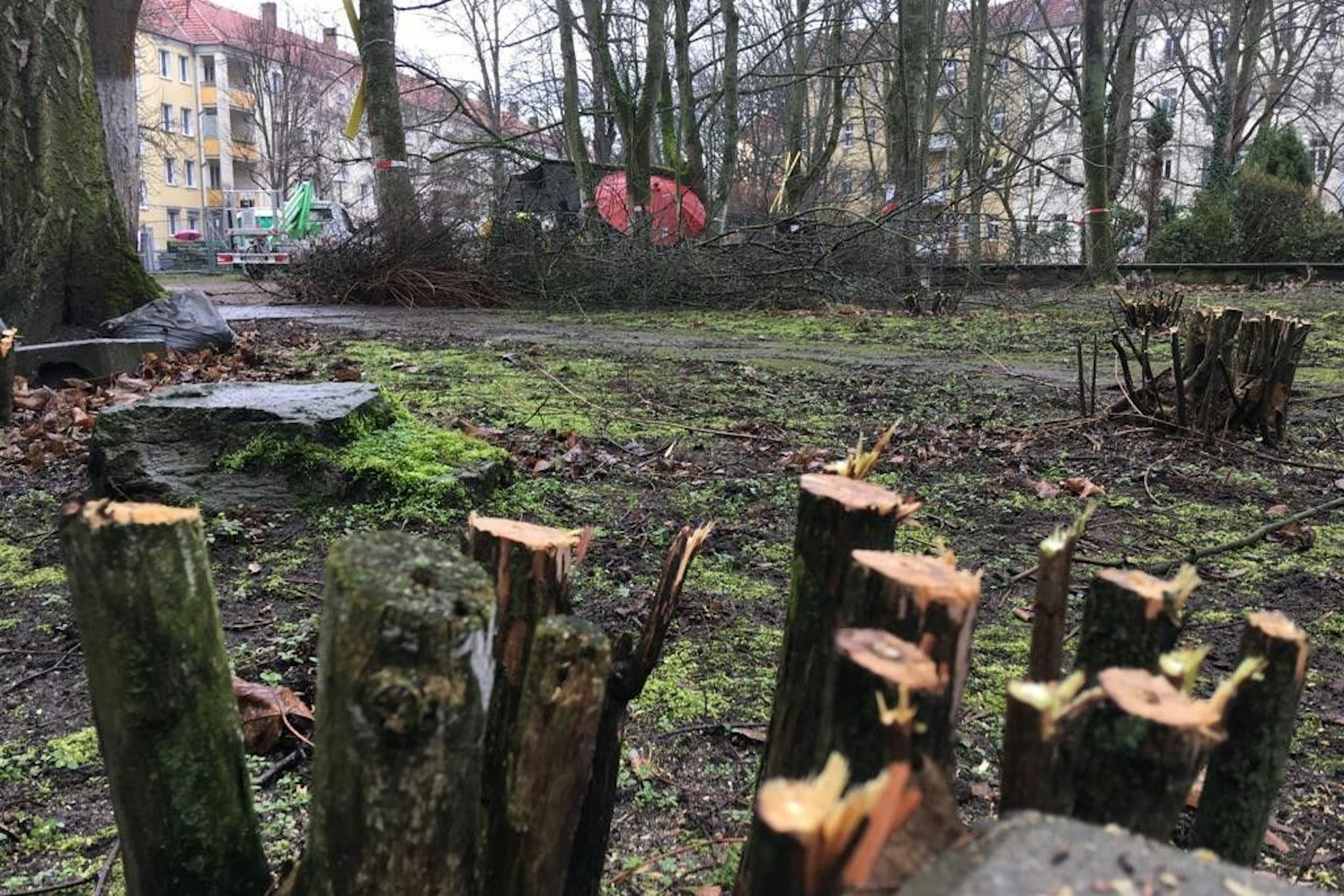 Die Gesobau will in den Innenhöfen zwei fünfgeschossige Häuser bauen.