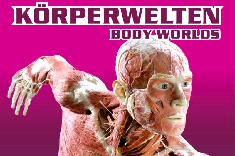 KÖRPERWELTEN Ausstellung Berlin 2026 | Tickets!