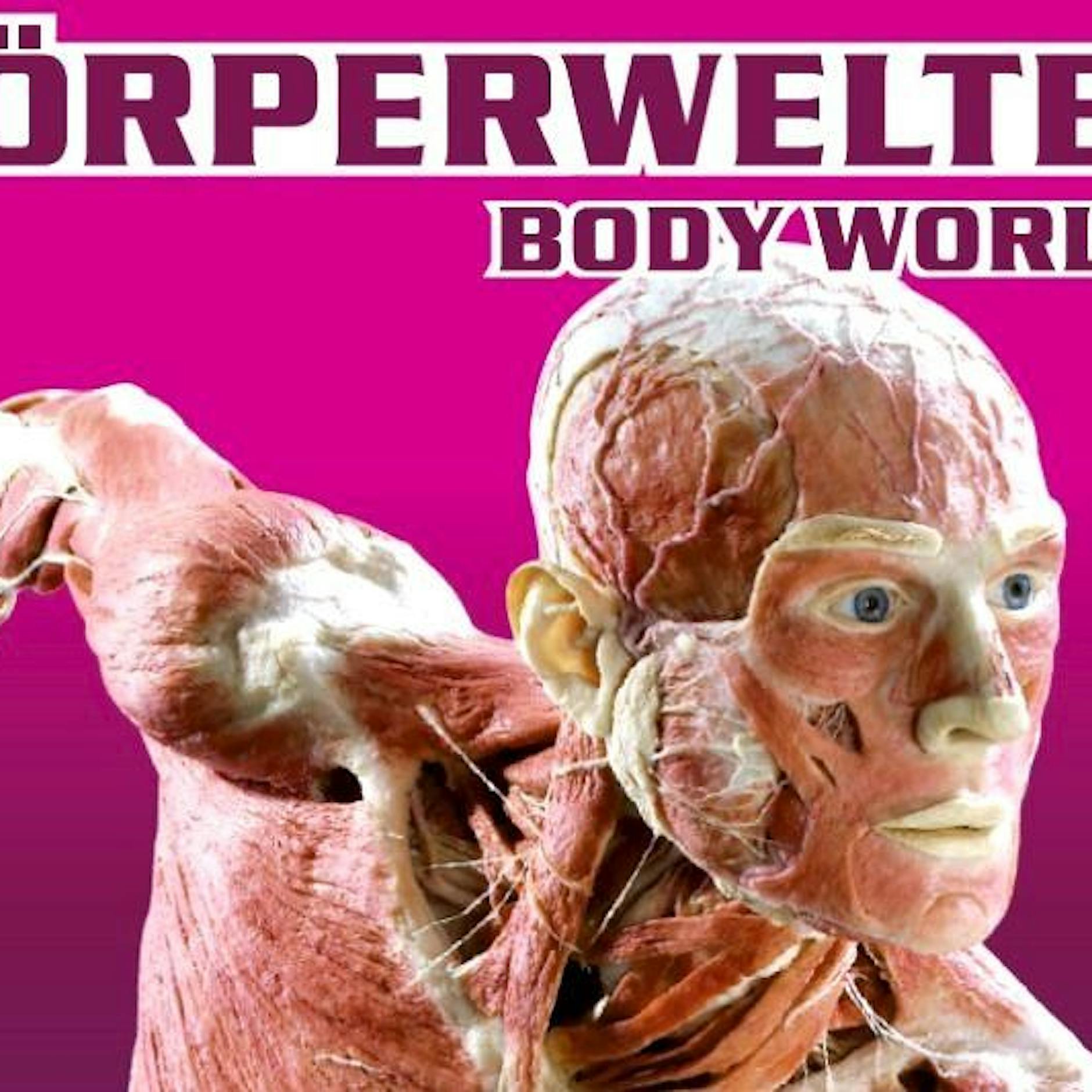 KÖRPERWELTEN Ausstellung Berlin 2026 | Tickets!