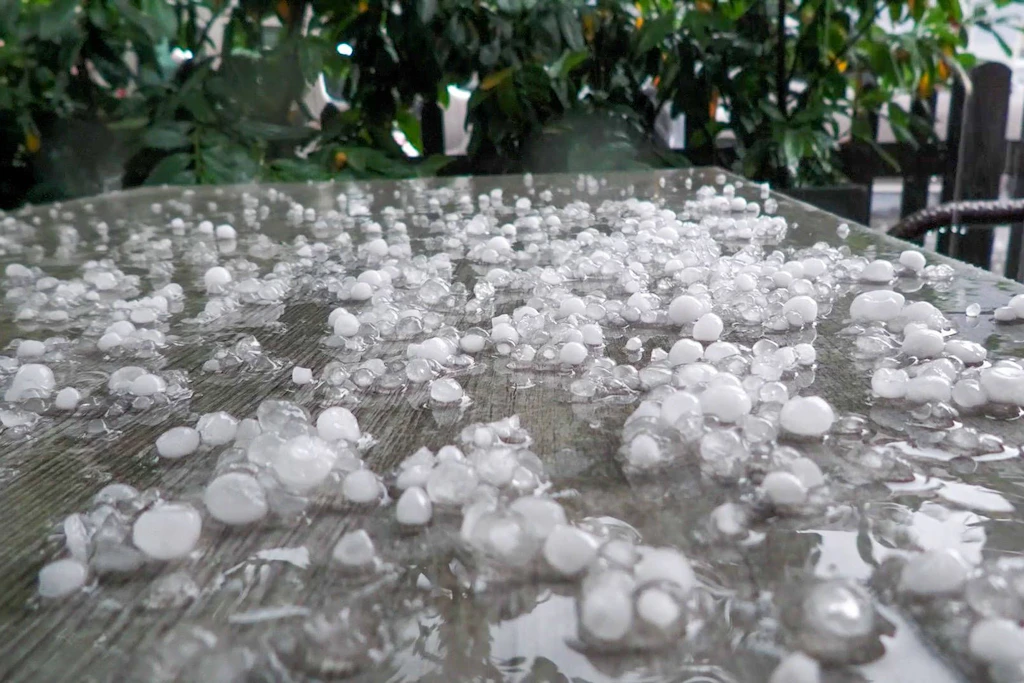Hagelkörner auf einem Gartentisch: Der DWD hält für diesen Mittwochnachmittag zwischen Erzgebirge und Alpen Hagel bis zu zwei Zentimetern für möglich (Symbolbild).