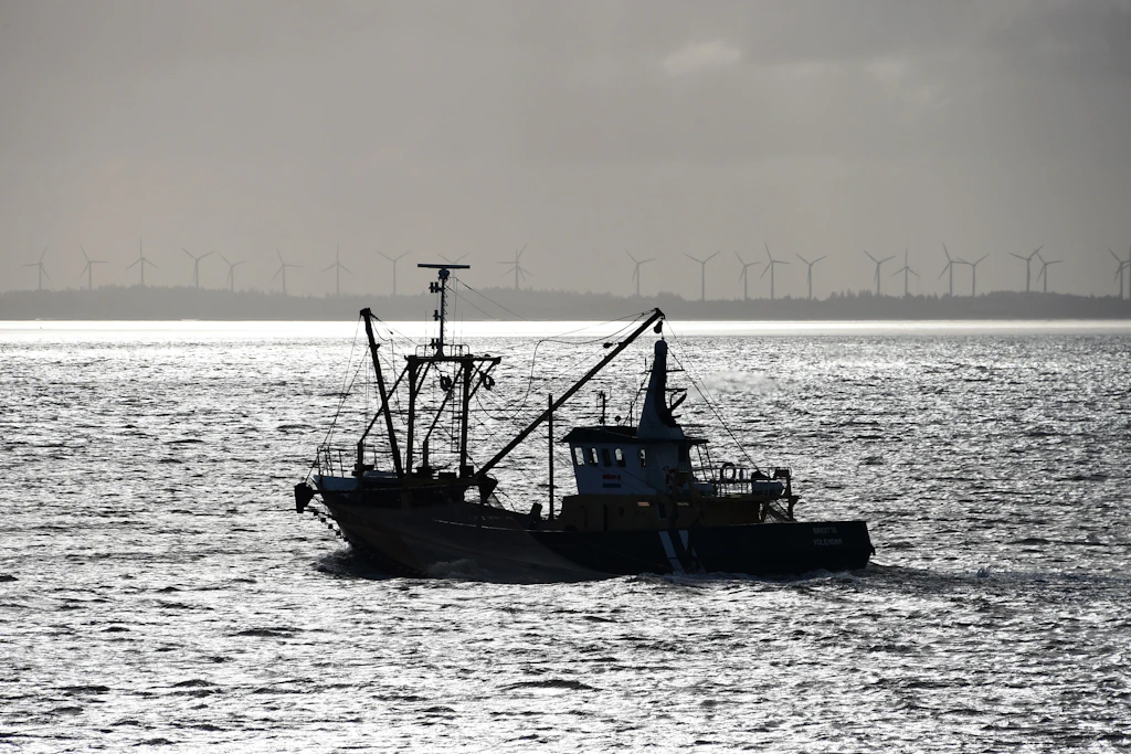 Die Fischerei in Mecklenburg-Vorpommern steckt in der Krise.