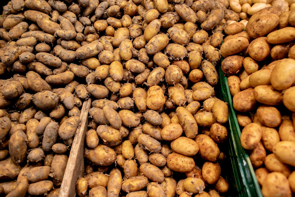Schaden für regionale Landwirtschaft? Kostenlose Kartoffeln sorgen für Streit