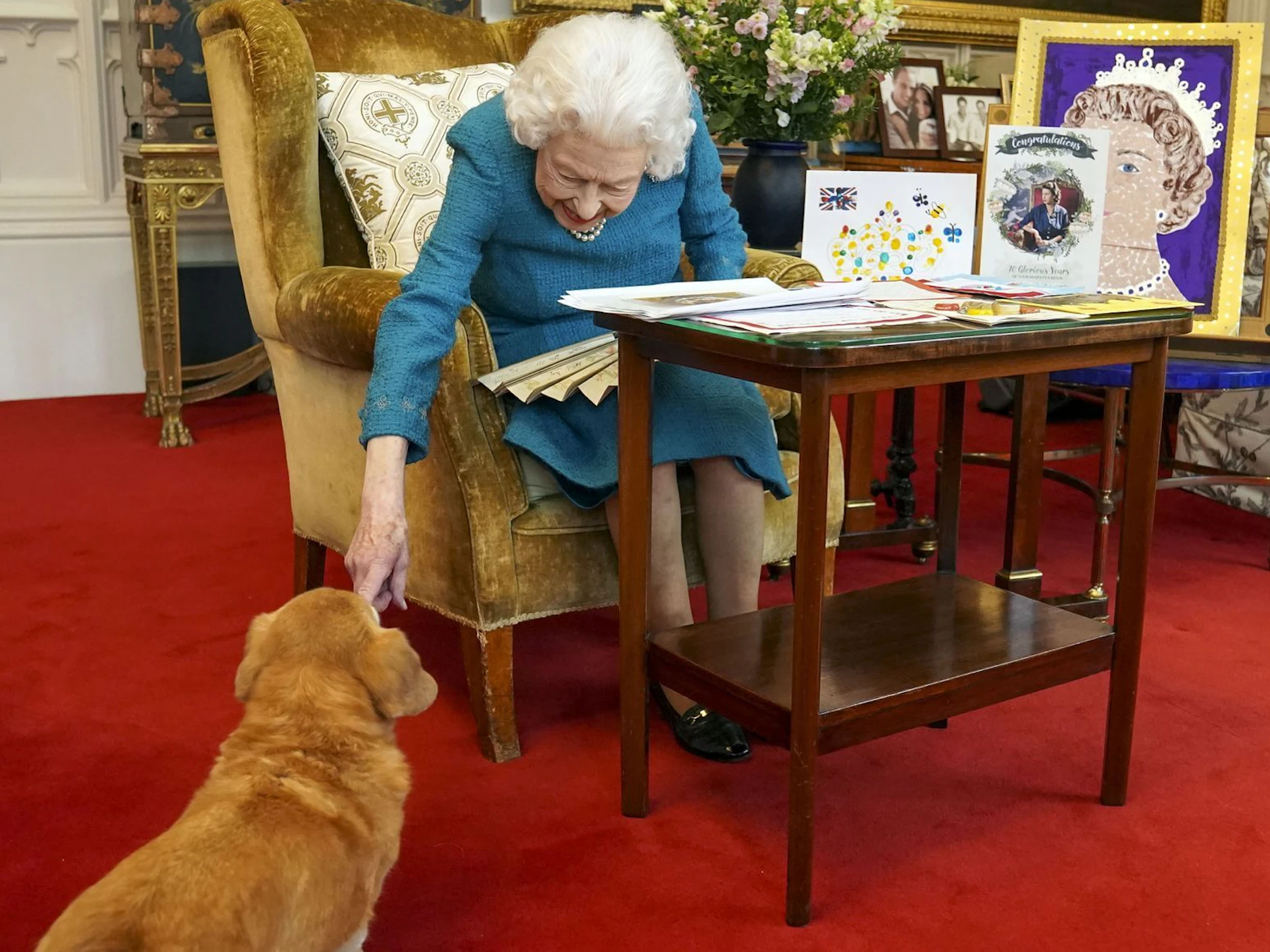 Noch kurz vor ihrem Tod: Königin Elizabeth II. streichelt einen ihrer Hunde, einen Corgi namens Candy, in Schloss Windsor. In Steglitz-Zehlendorf sind diese Tiere aber besonders bissig.