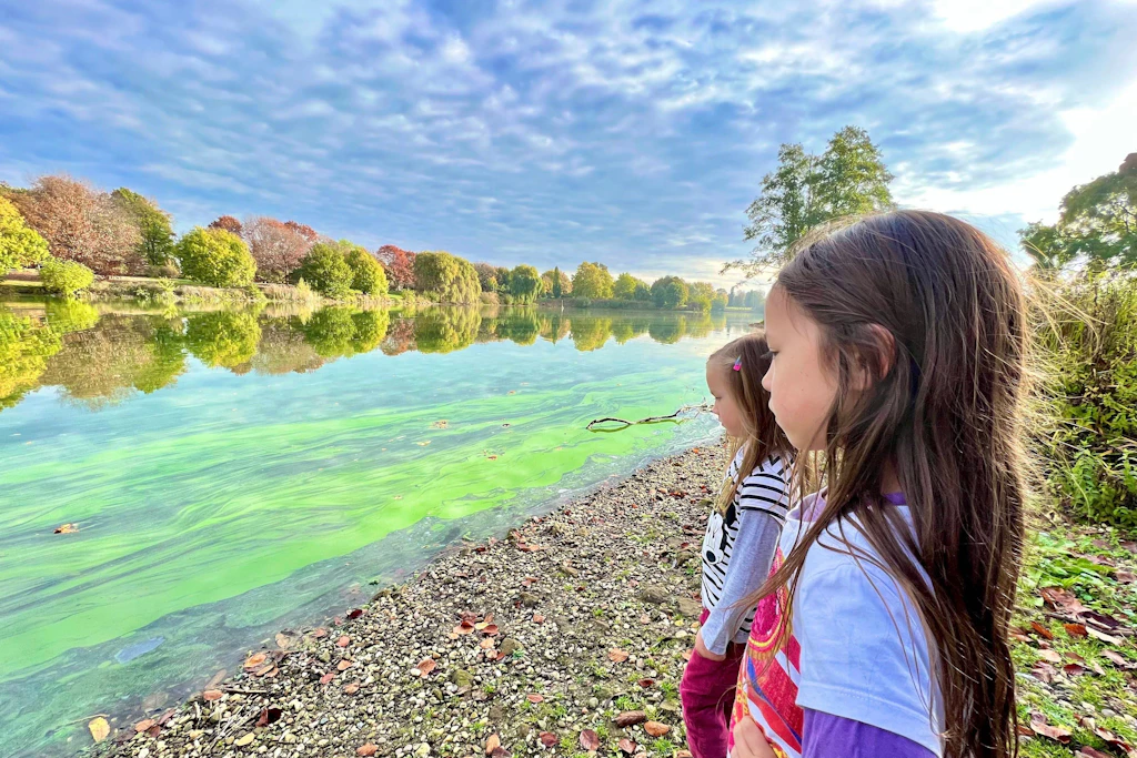 Treten Blaualgen in Flüssen und Seen auf, sollten vor allem Kinder das Wasser meiden.