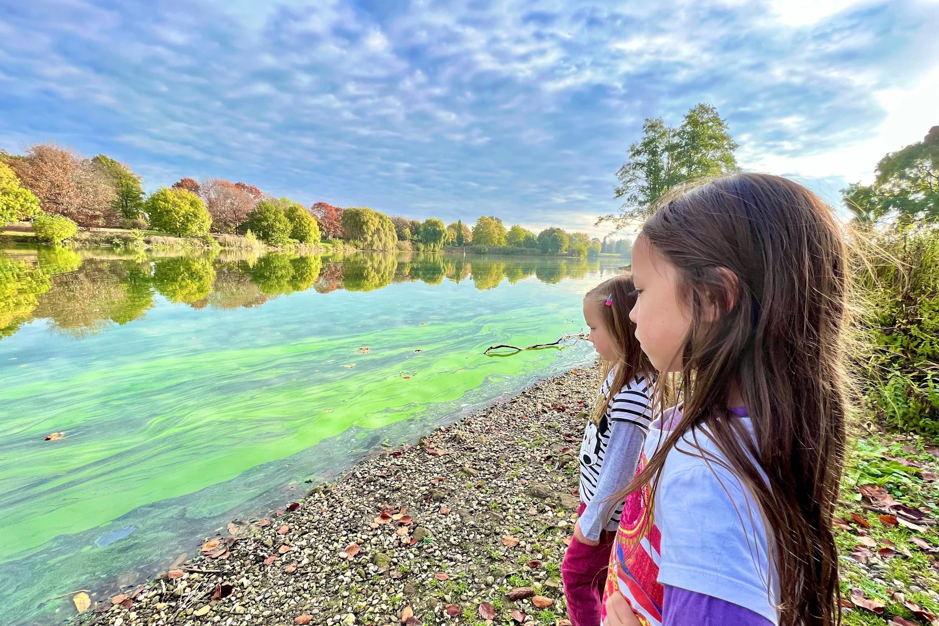 Treten Blaualgen in Flüssen und Seen auf, sollten vor allem Kinder das Wasser meiden.