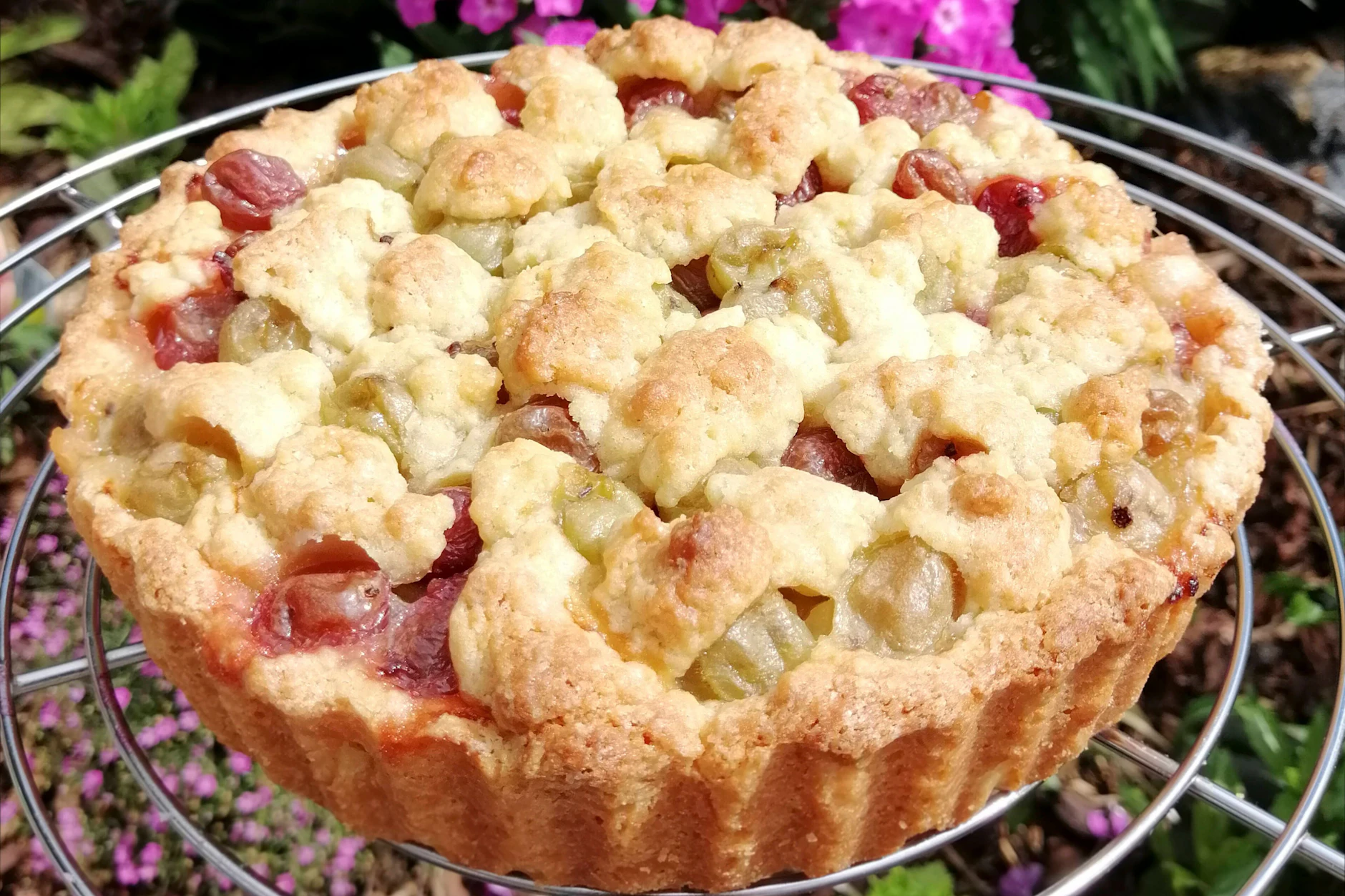 Aus Stachelbeeren kann man ganz einfach einen leckeren Streuselkuchen zaubern - das Rezept kommt direkt aus Omas Backbuch.