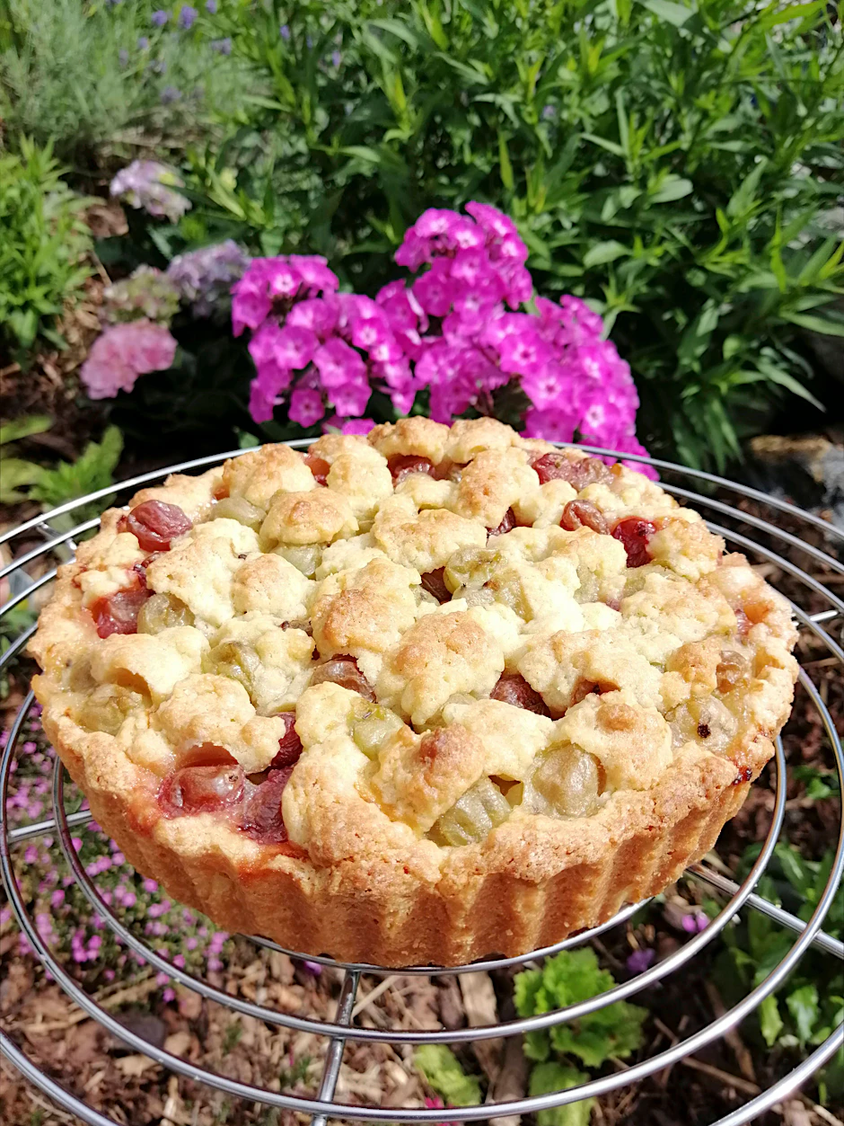 Aus Stachelbeeren kann man ganz einfach einen leckeren Streuselkuchen zaubern - das Rezept kommt direkt aus Omas Backbuch.