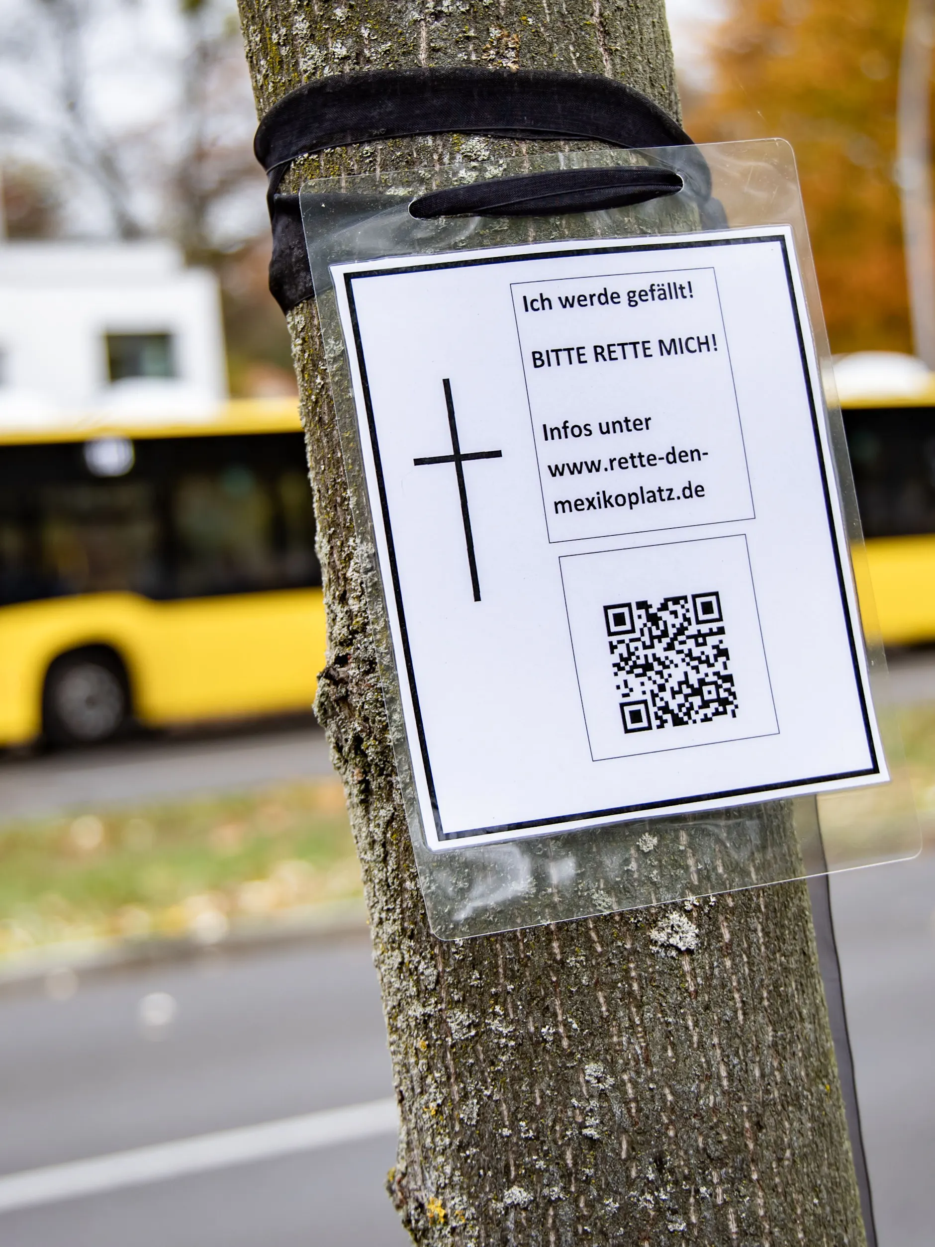 Rings um den Mexikoplatz sollen 176 Bäume den Bauarbeiten zum Opfer fallen. Ab 2030 sollen dann neue Bäume gepflanzt werden.