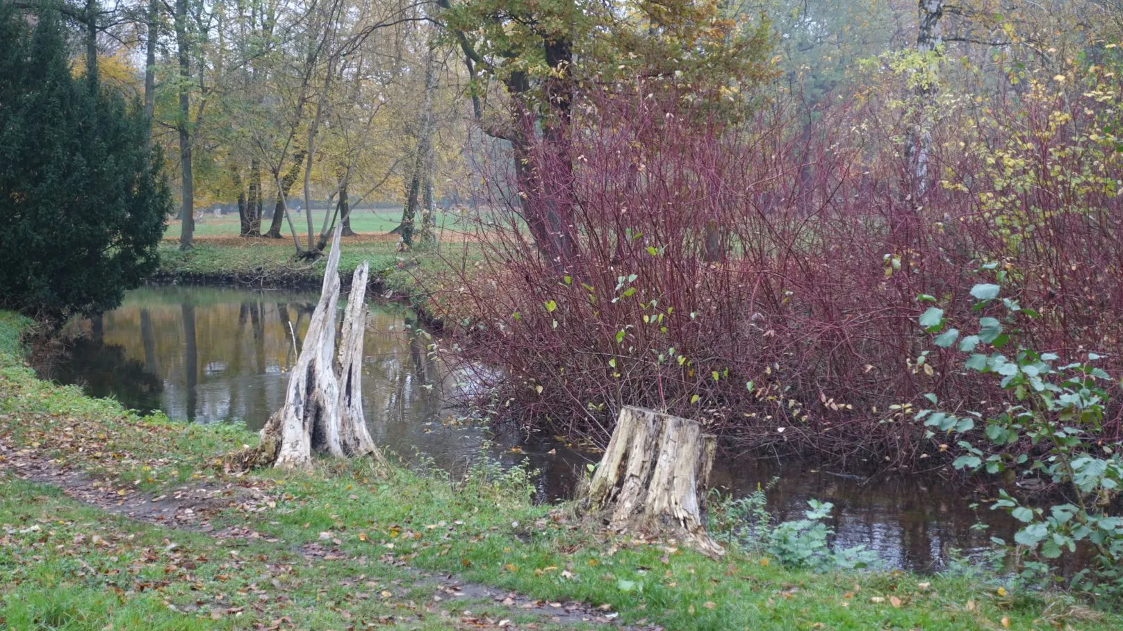 Im 1705 angelegten Schlosspark Schönhausen sieht man viele Überreste von abgestorbenen Bäumen.
