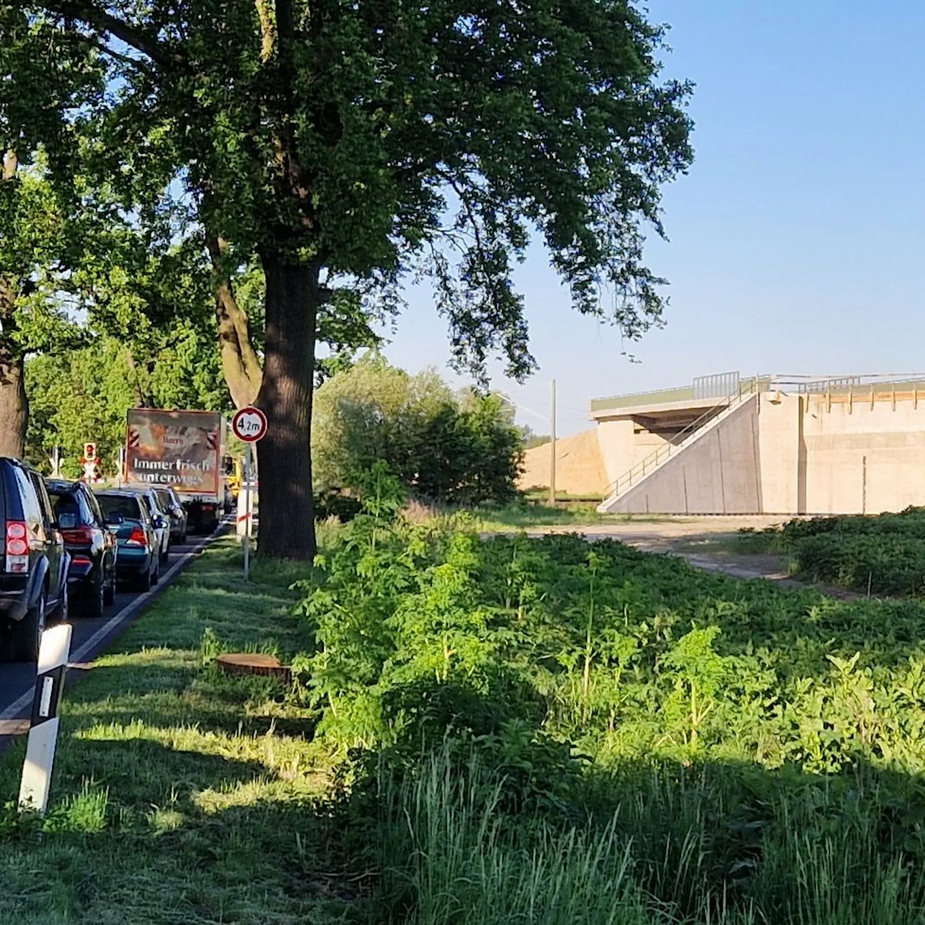 In Brandenburg: Brücke für 17 Millionen Euro gebaut – ohne eine Zufahrt