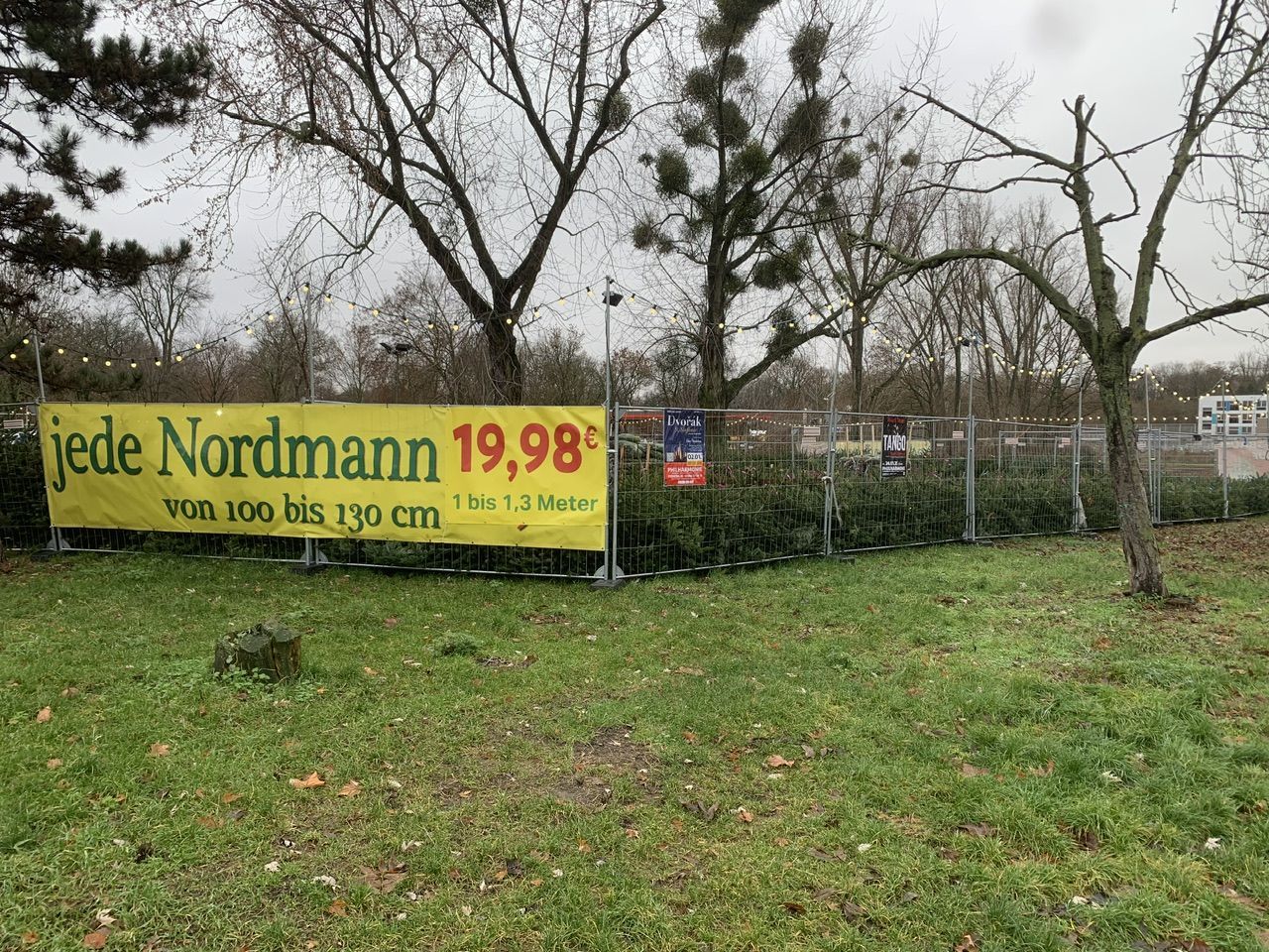 Image - Teure Nacht, heilige Nacht: So viel kostet in Berlin der Weihnachtsbaum