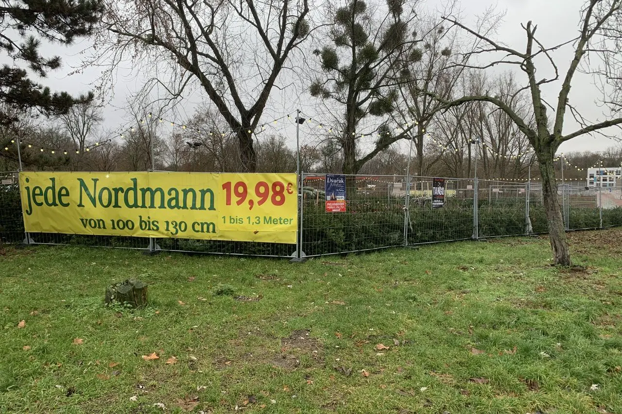 Am Volkspark Friedrichshain kosten Nordmanntannen ab 19,98 Euro.