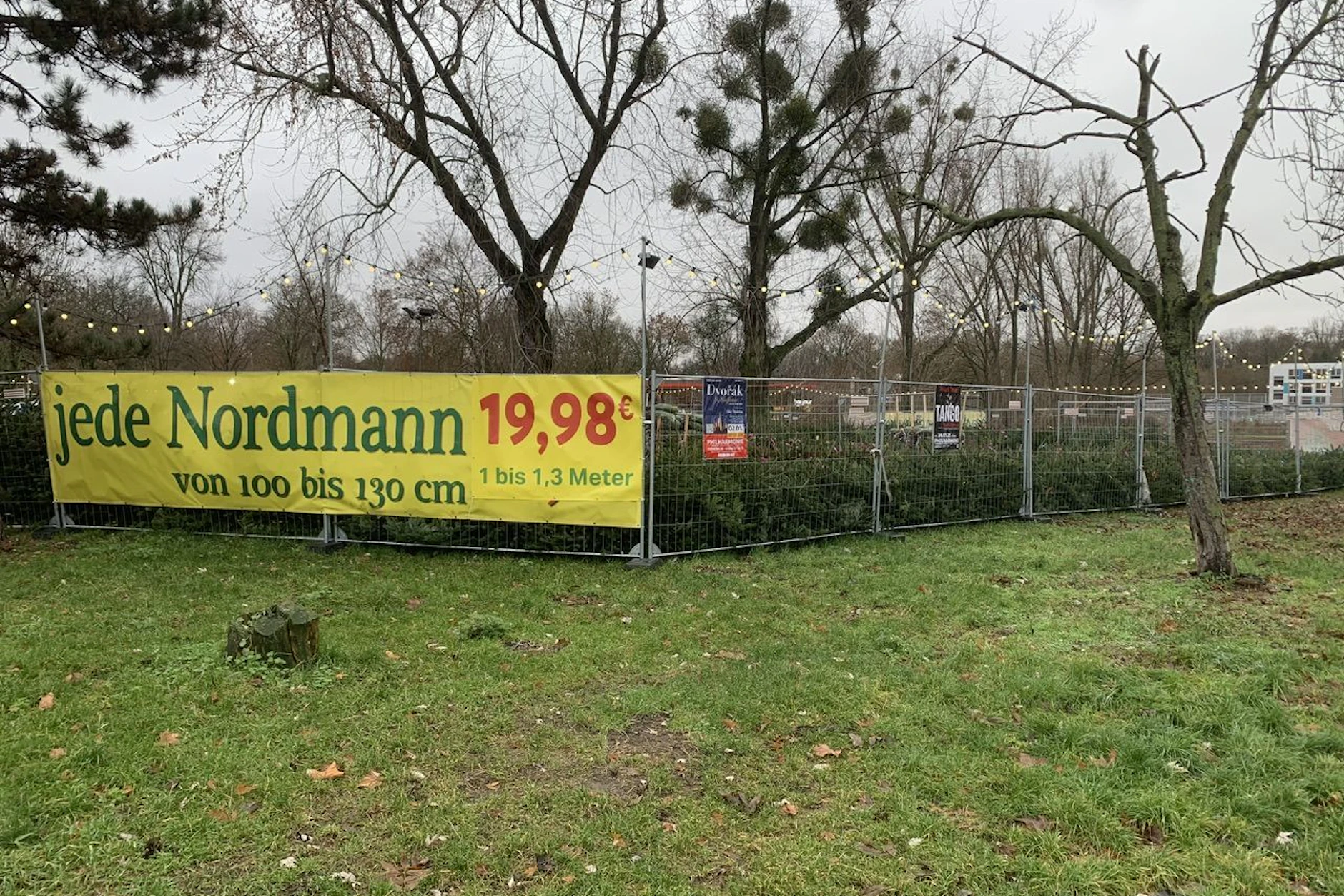 Am Volkspark Friedrichshain kosten Nordmanntannen ab 19,98 Euro.