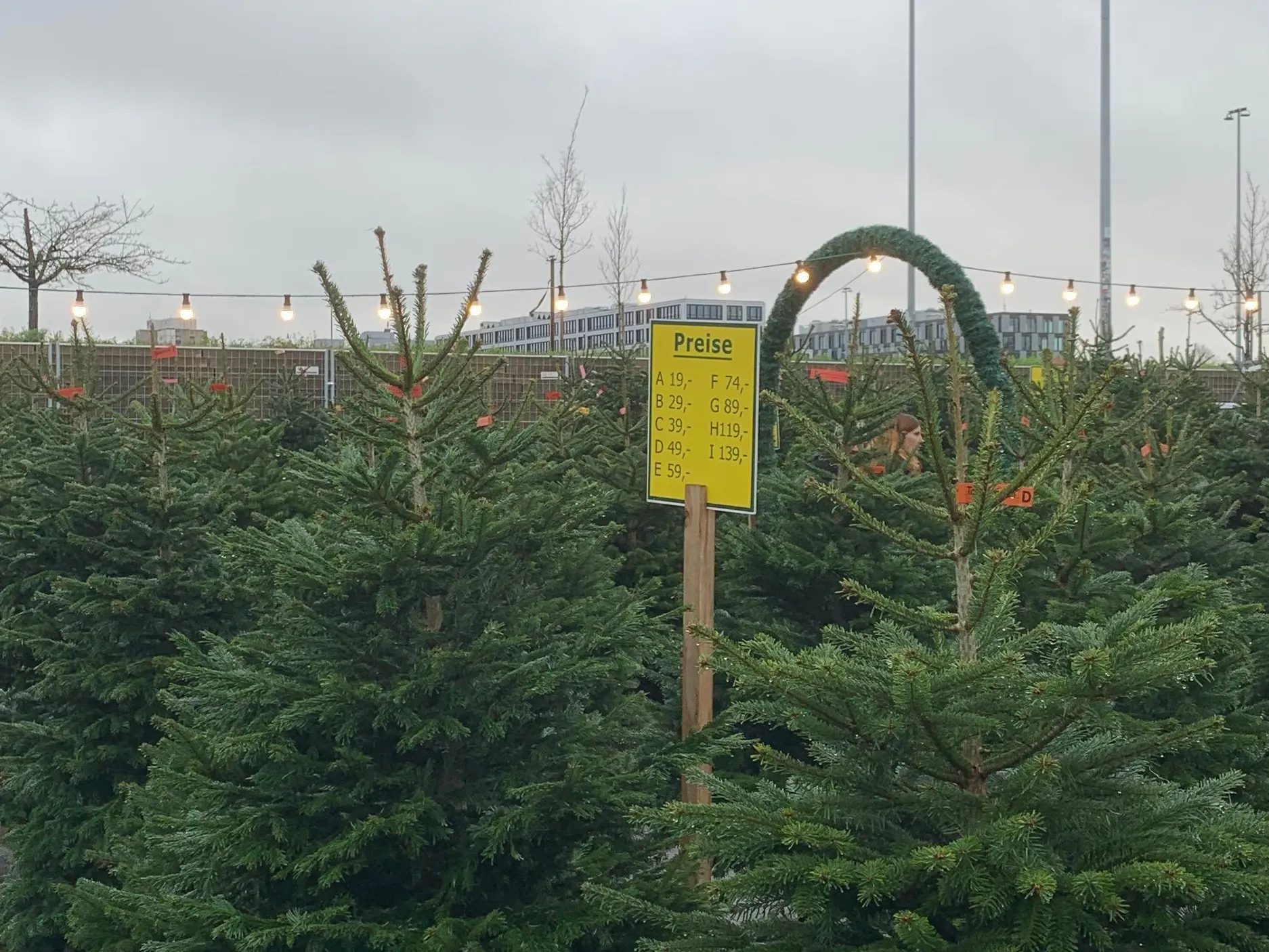 Der Tannenmann am S-Bahnhof Landsberger Allee: Die Preise starten bei 19 Euro. Die Klasse D (ca. 1,80 Meter) kostet 49 Euro, die Klasse E (ca. 2 Meter) 59 Euro.