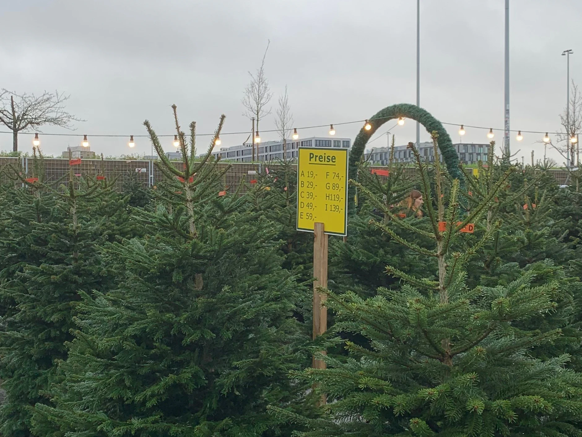 Der Tannenmann am S-Bahnhof Landsberger Allee: Die Preise starten bei 19 Euro. Die Klasse D (ca. 1,80 Meter) kostet 49 Euro, die Klasse E (ca. 2 Meter) 59 Euro.